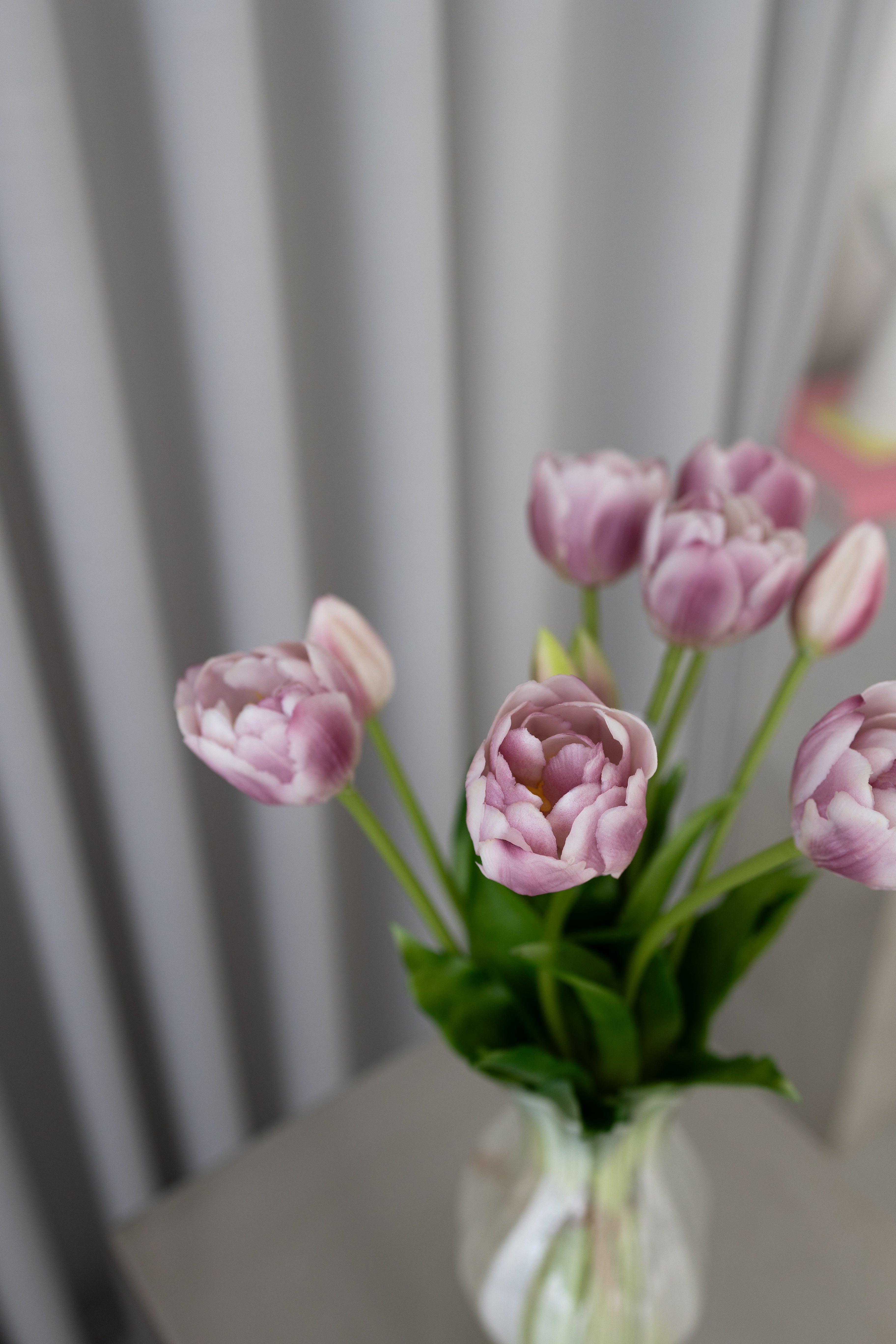 Lilla Tulipanbuket – 2 Bundter