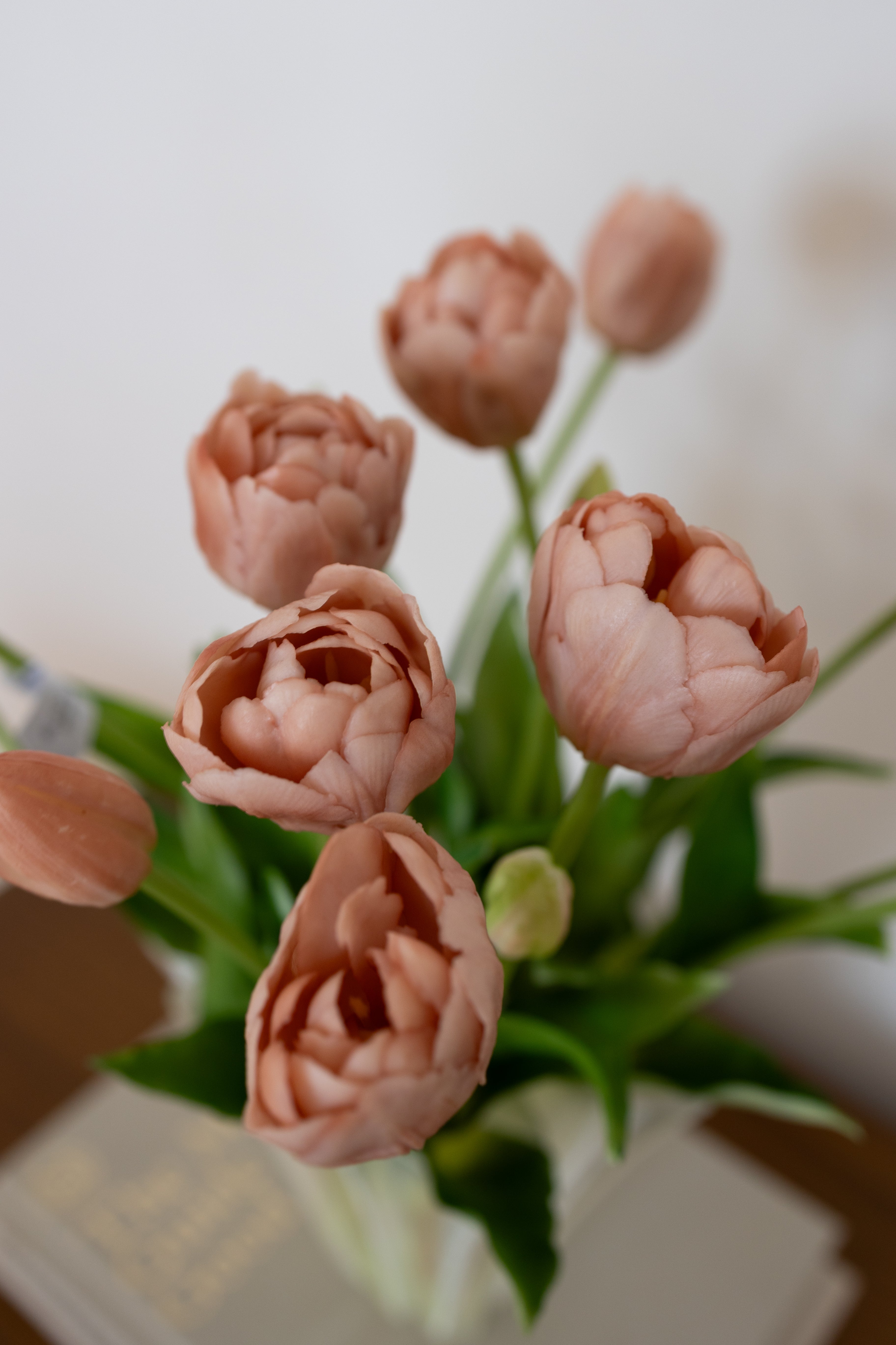 Beige Tulipan Buket - 3 bundter