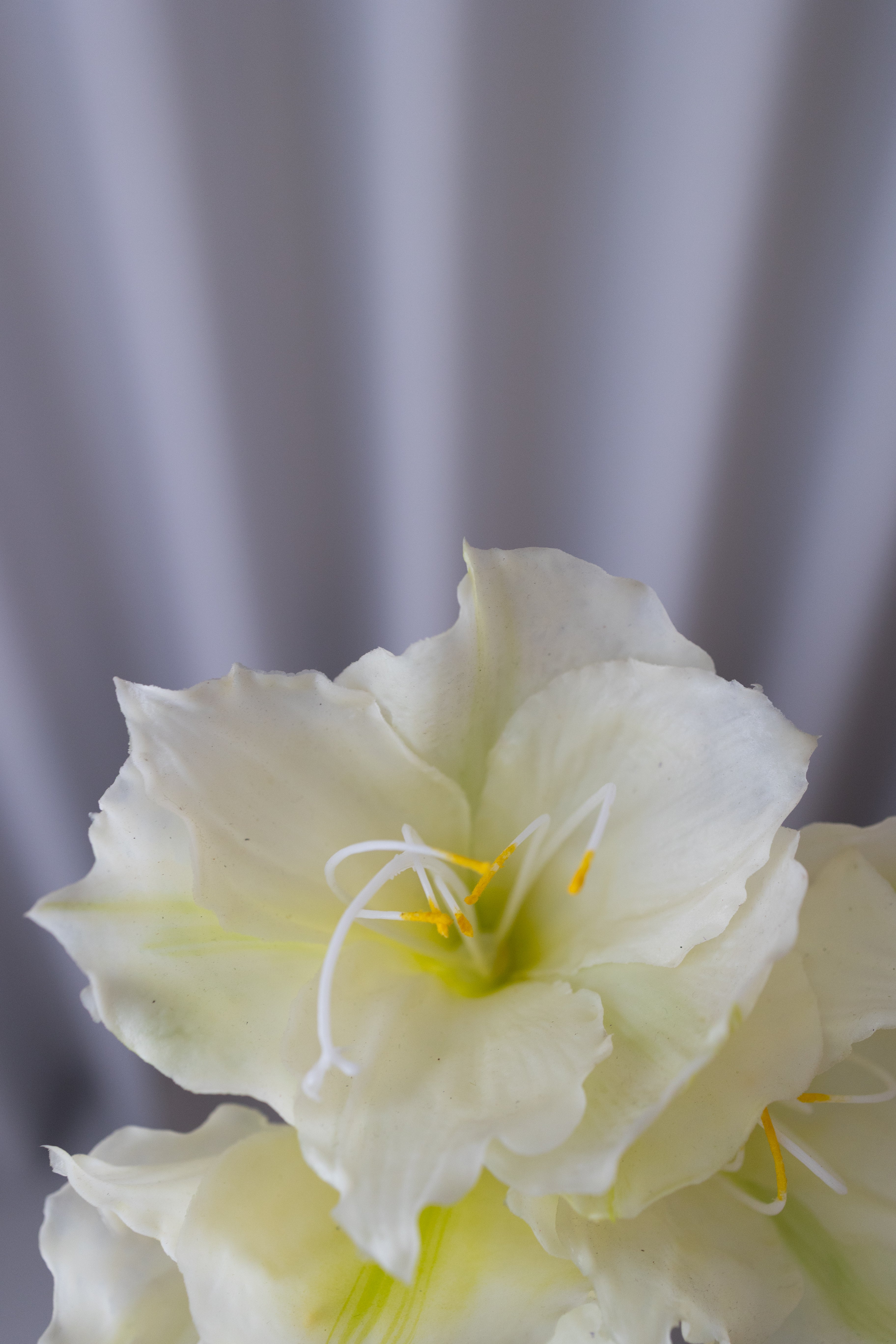 Artificial Amaryllis - White