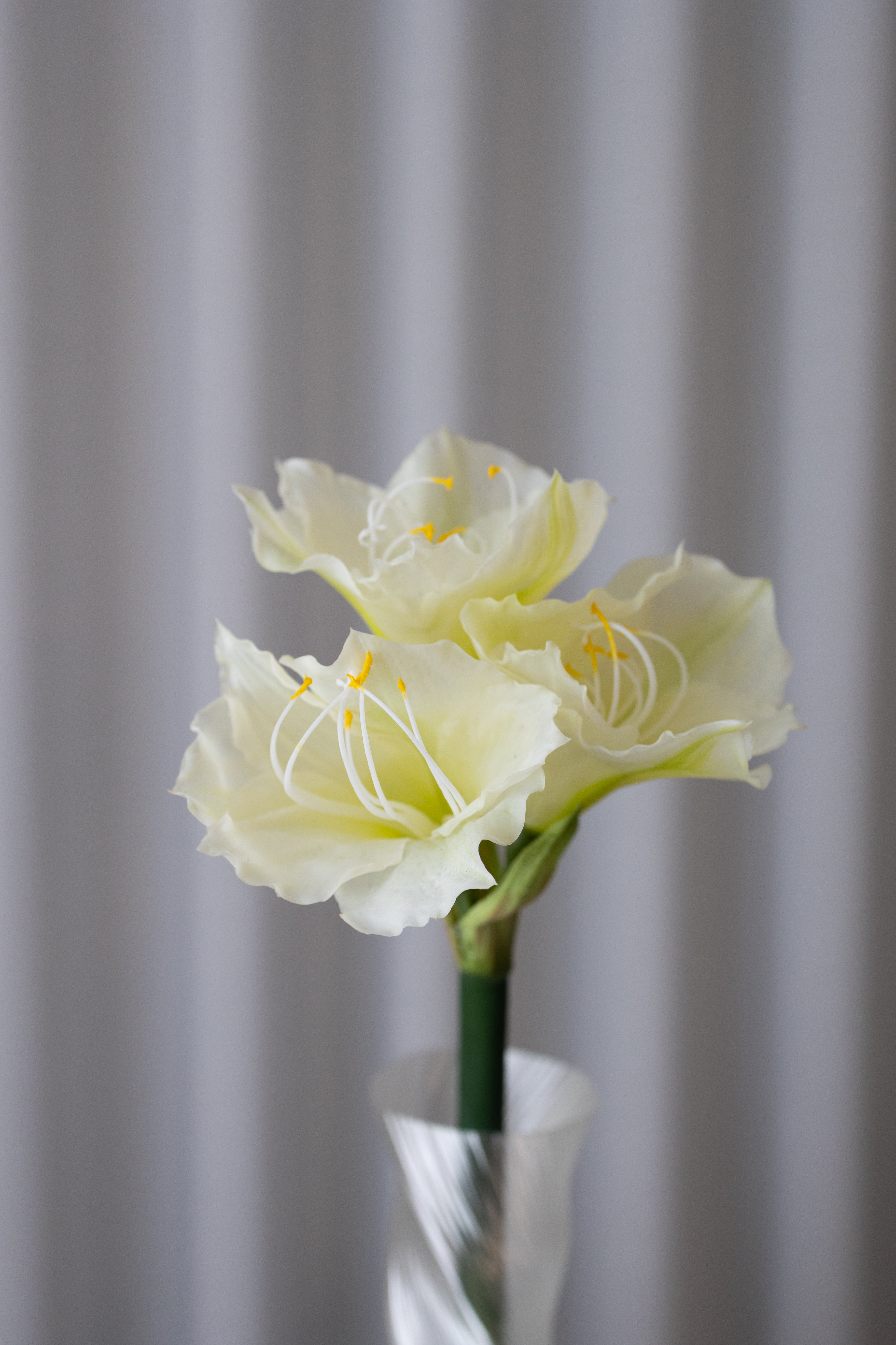 Artificial Amaryllis - White