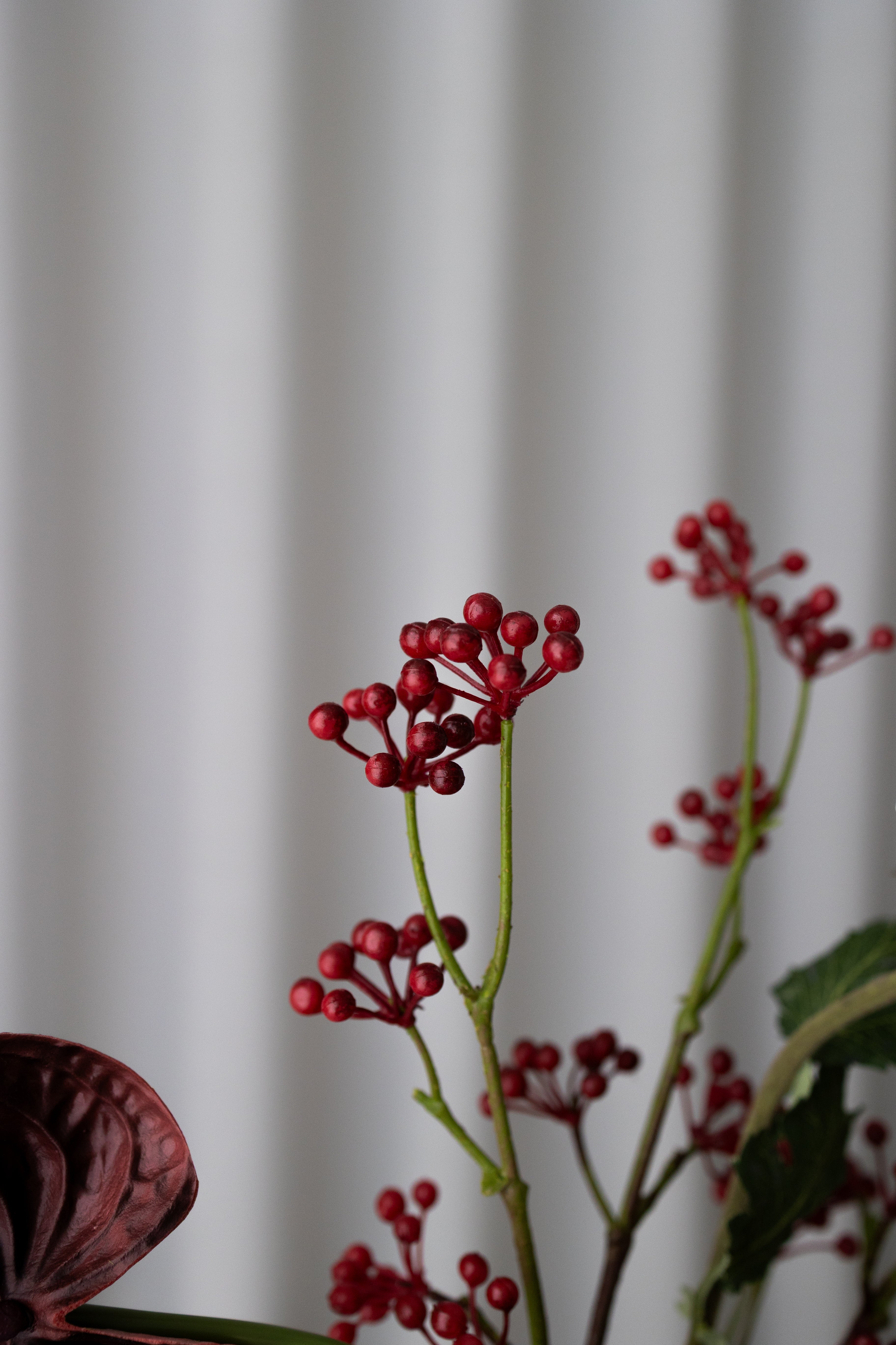 Frosty Berry Bouquet