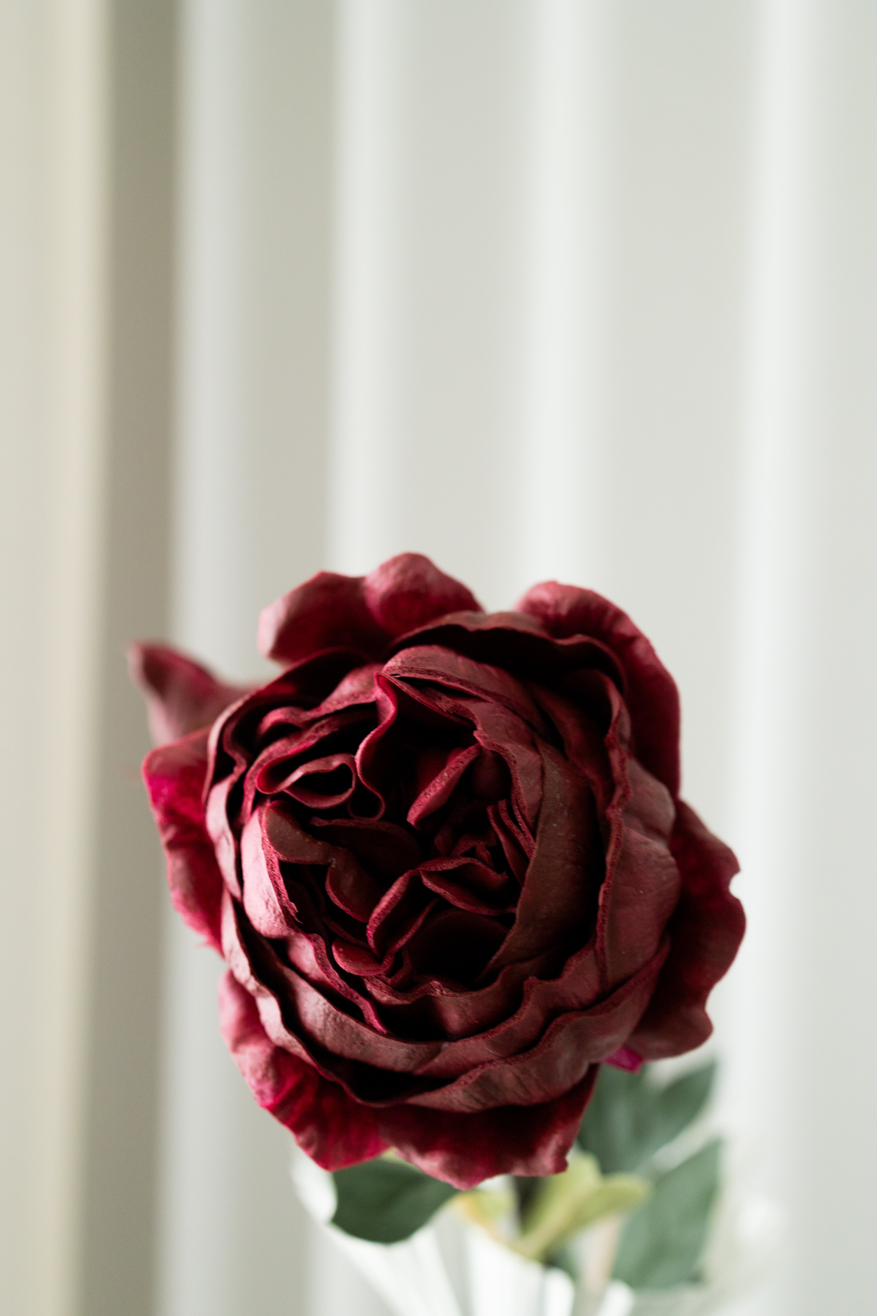 Kunstig Fyldig Pæon Bordeaux