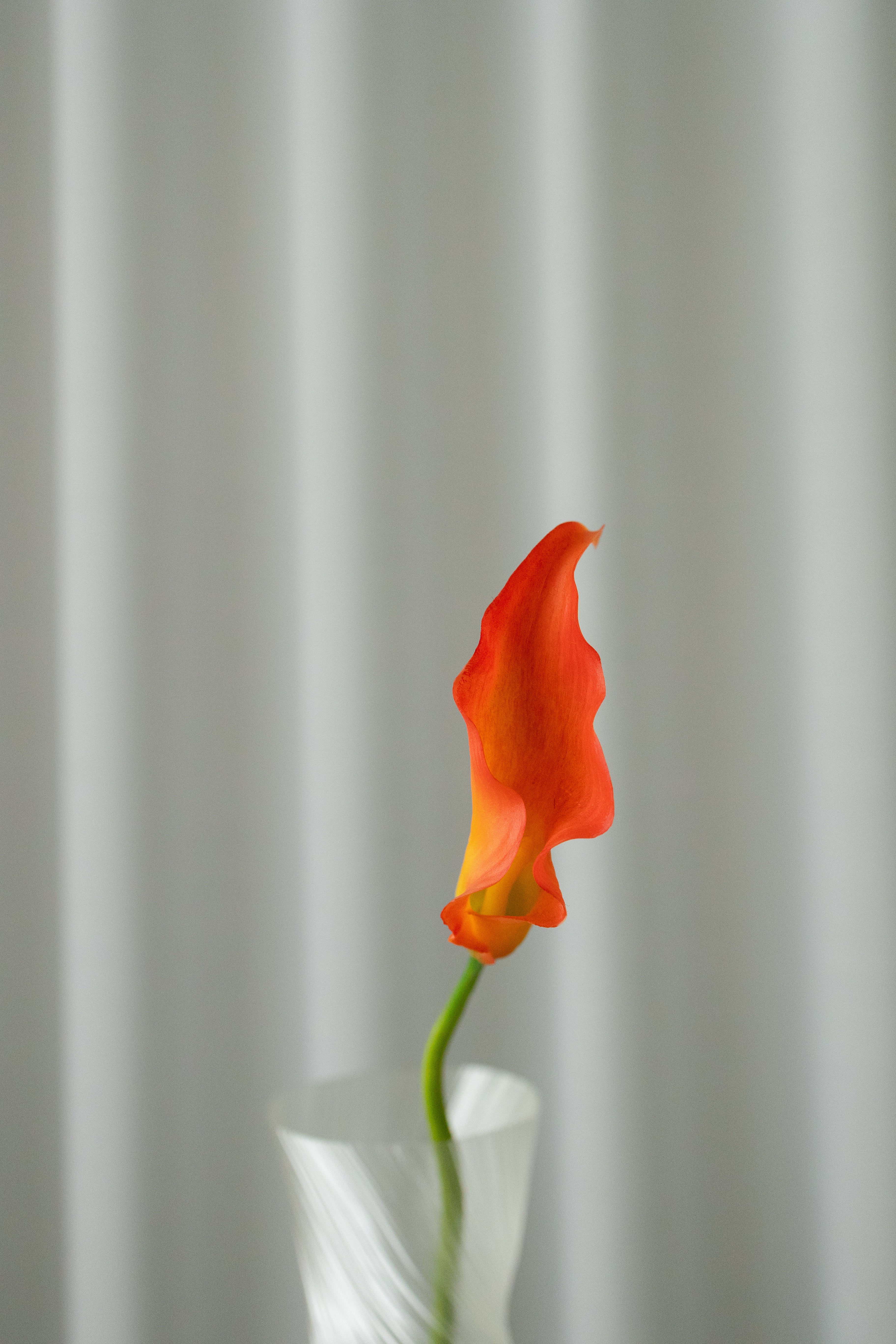 KUNSTIG NATURTRO CALLA LILJE - ORANGE