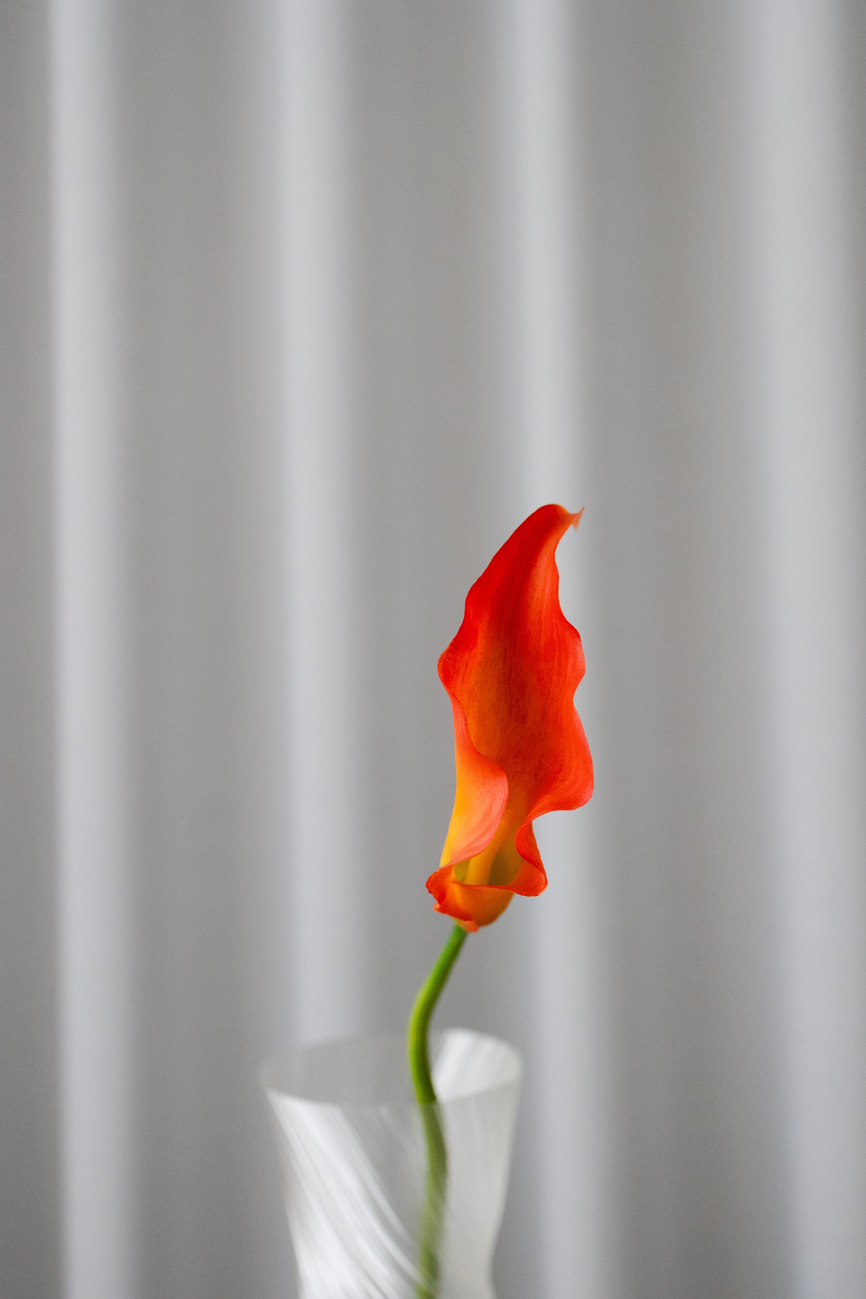 Artificial Lifelike Calla Lily - Orange