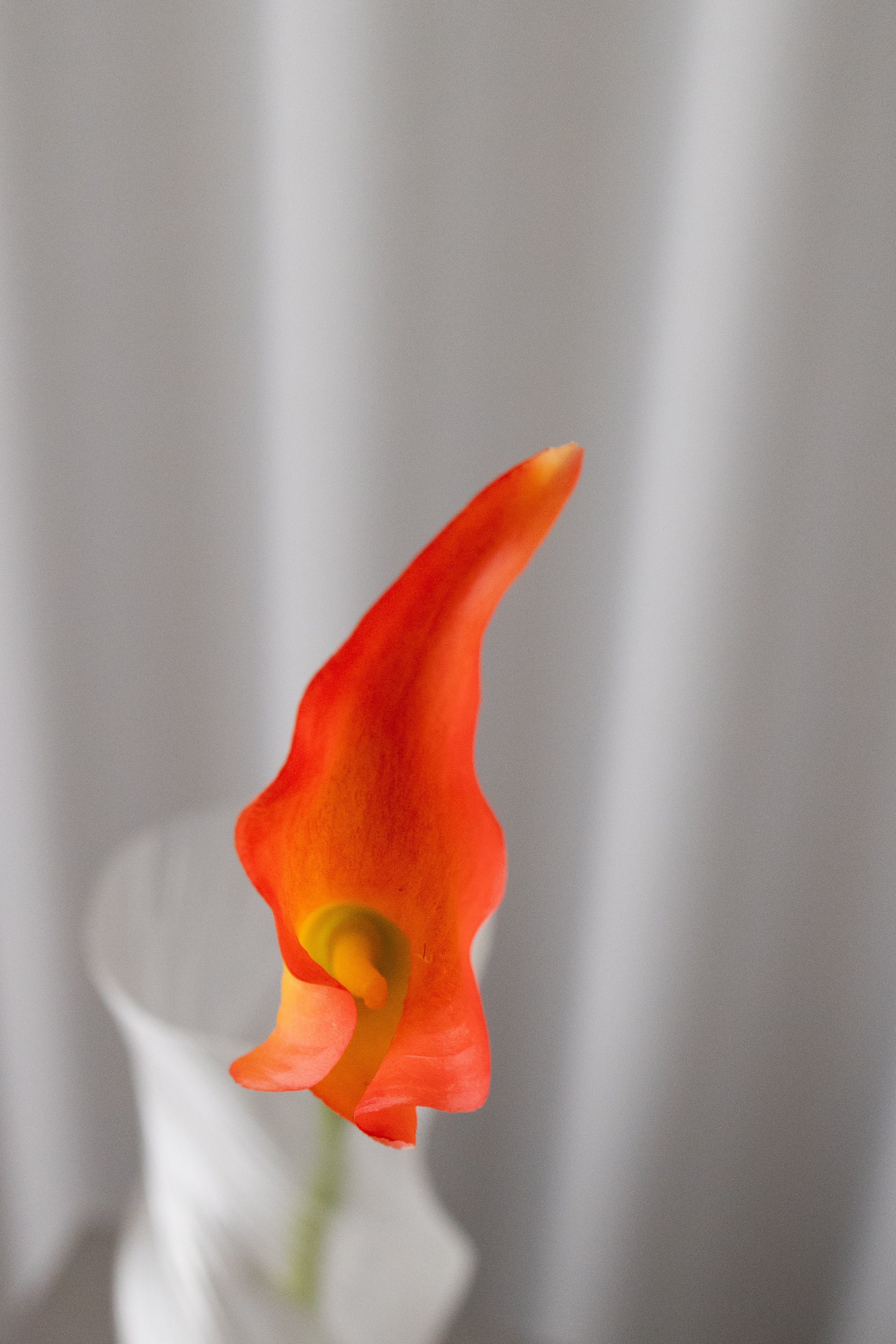Artificial Lifelike Calla Lily - Orange