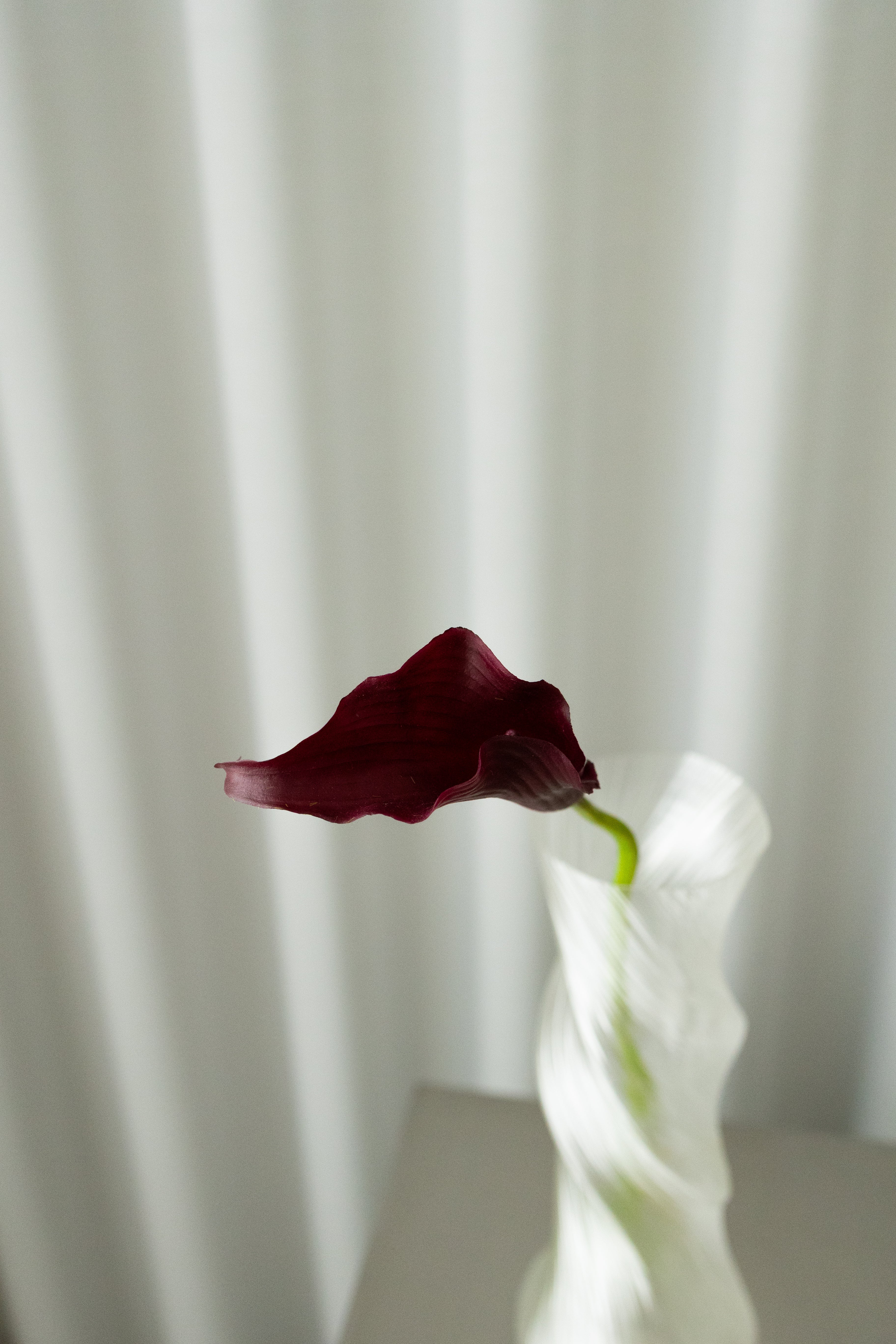 Artificial Lifelike Calla Lily - Bordeaux