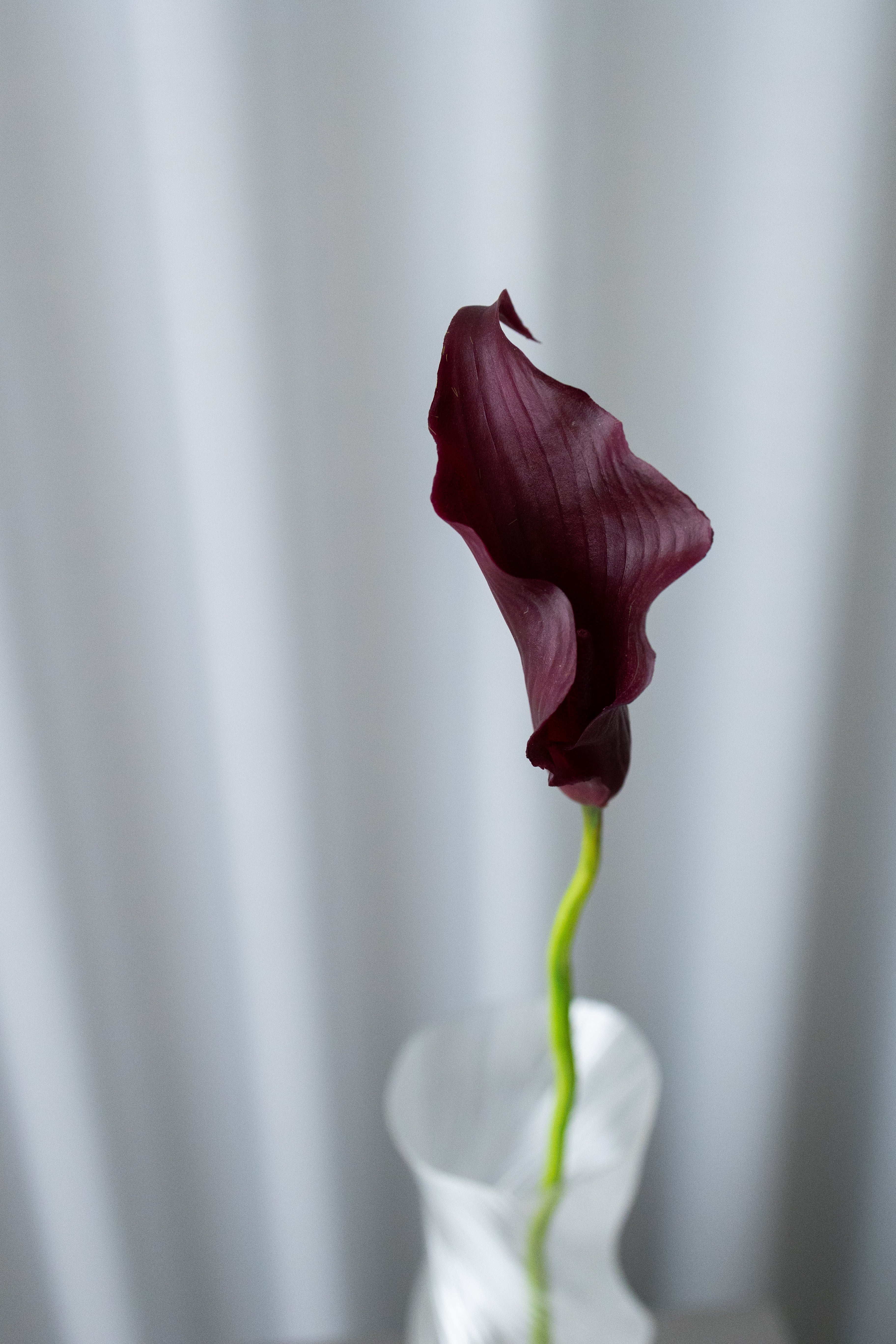 Artificial Lifelike Calla Lily - Bordeaux