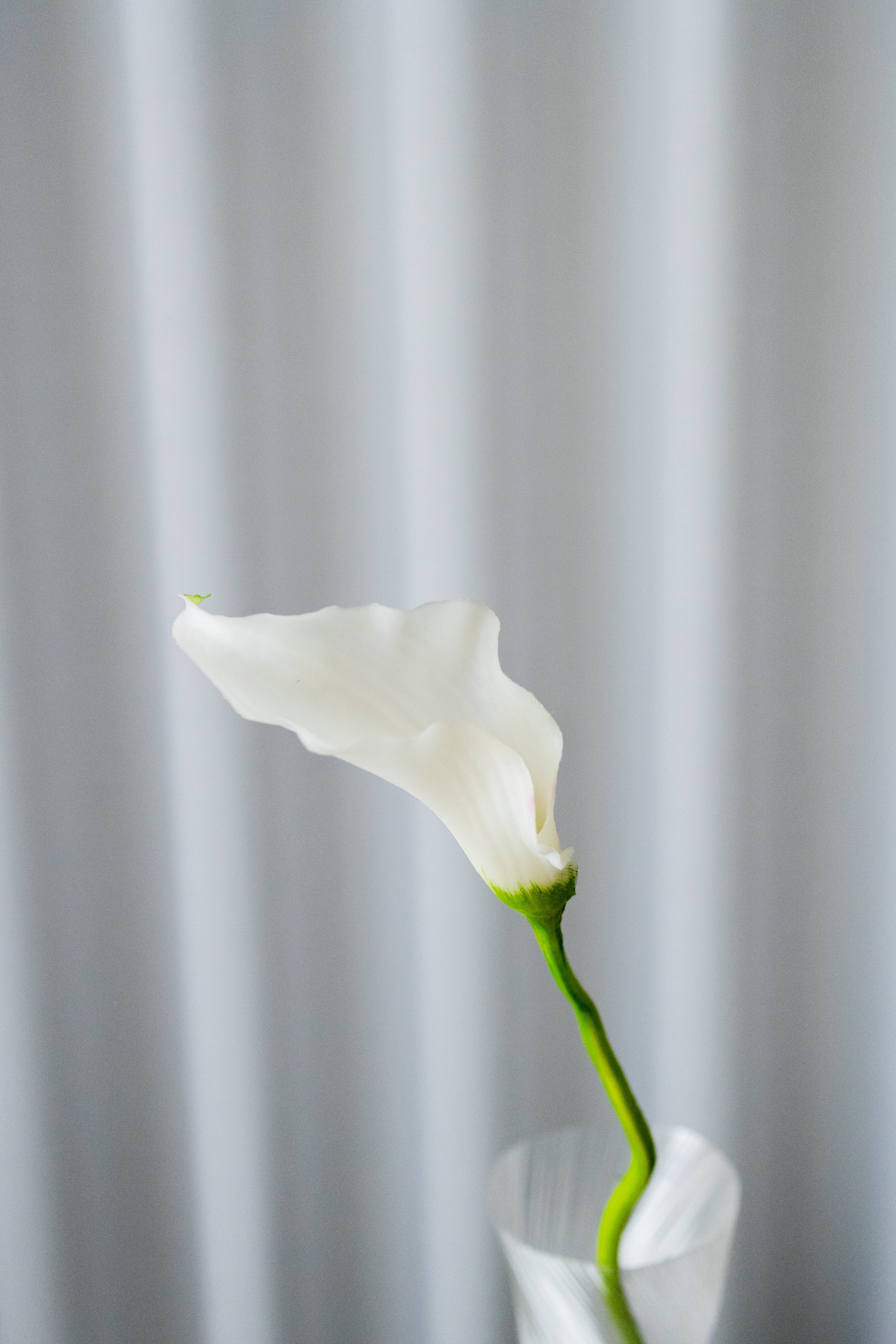 Artificial Lifelike Calla Lily - White
