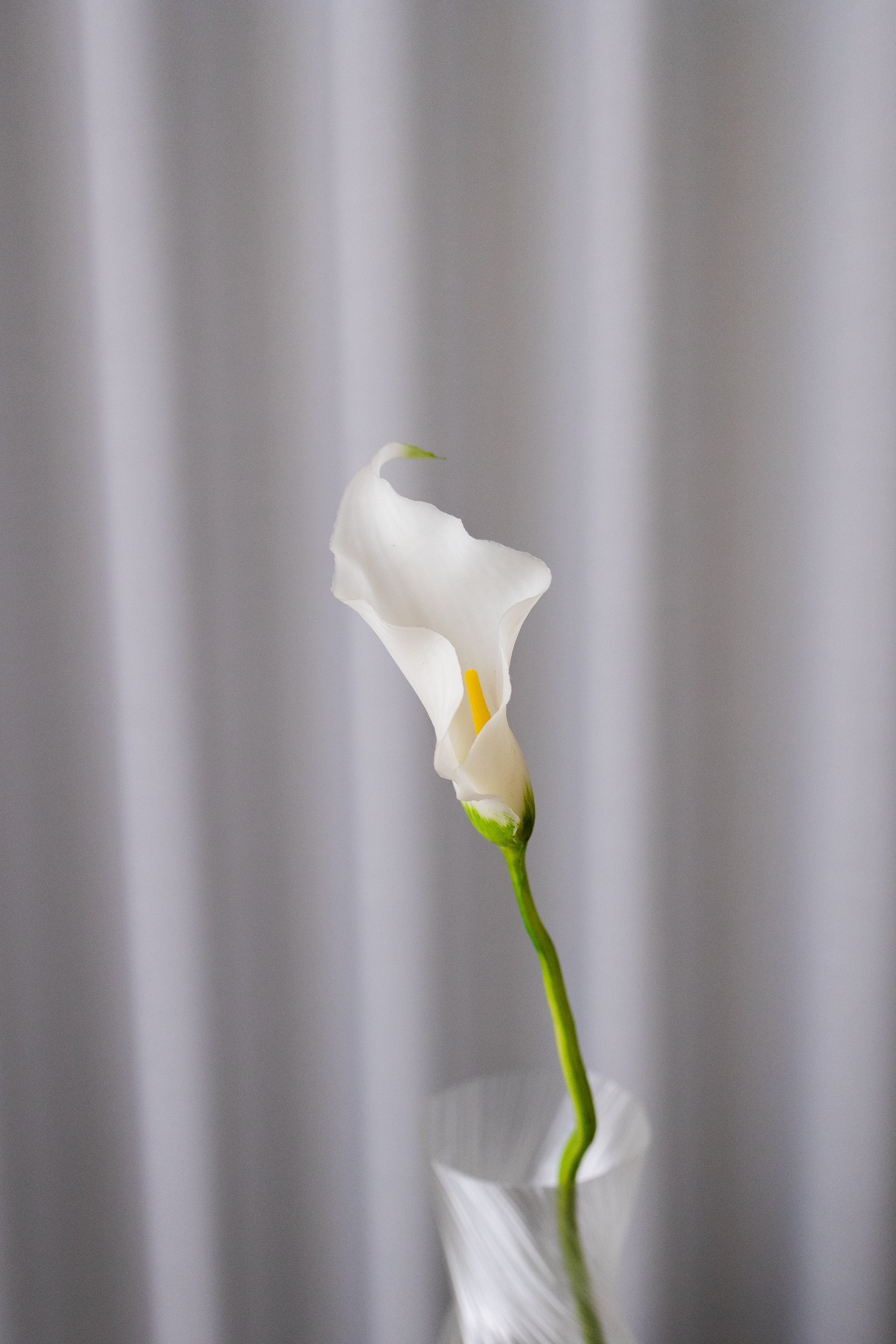 Artificial Lifelike Calla Lily - White
