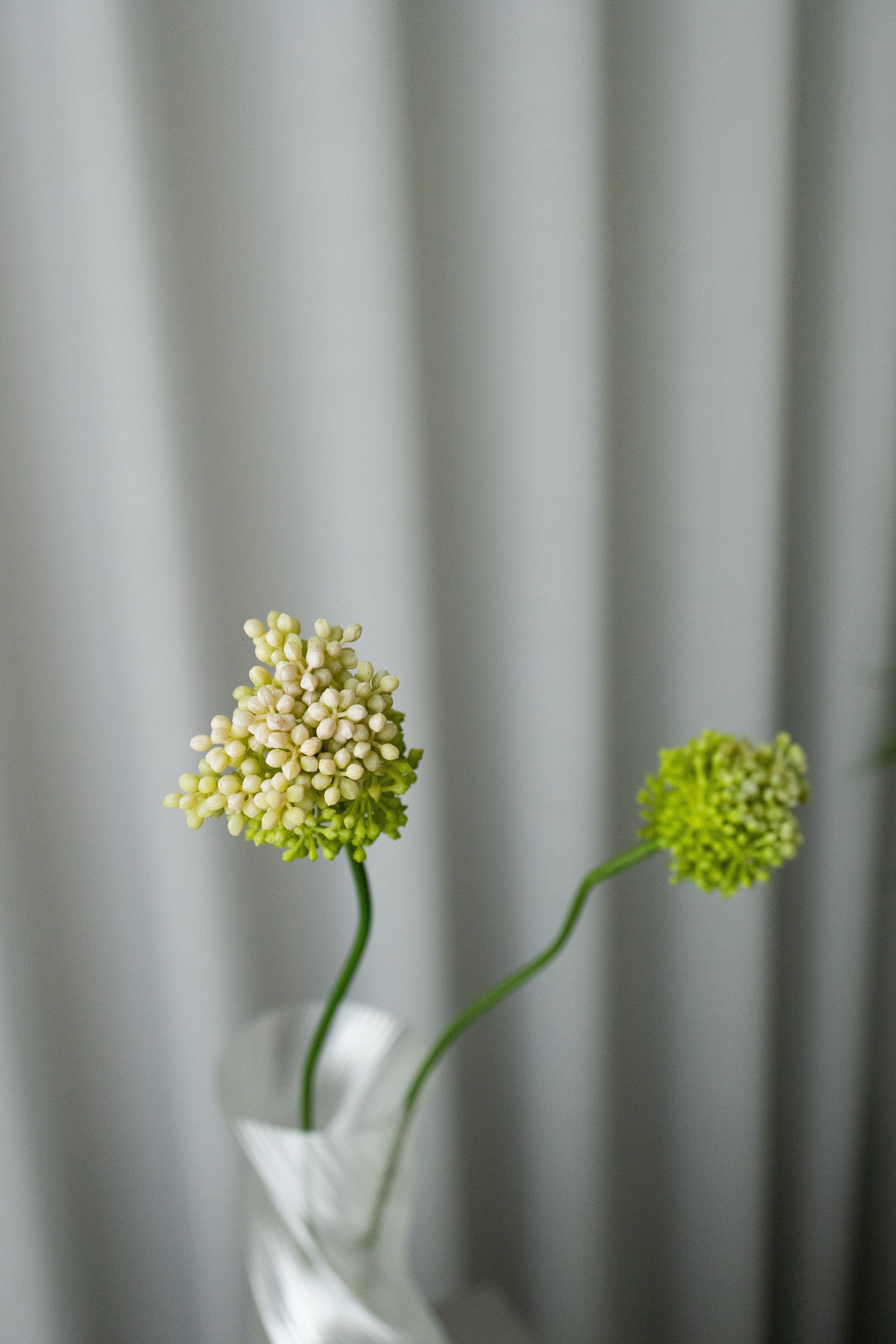 Artificial Dandelion - Green