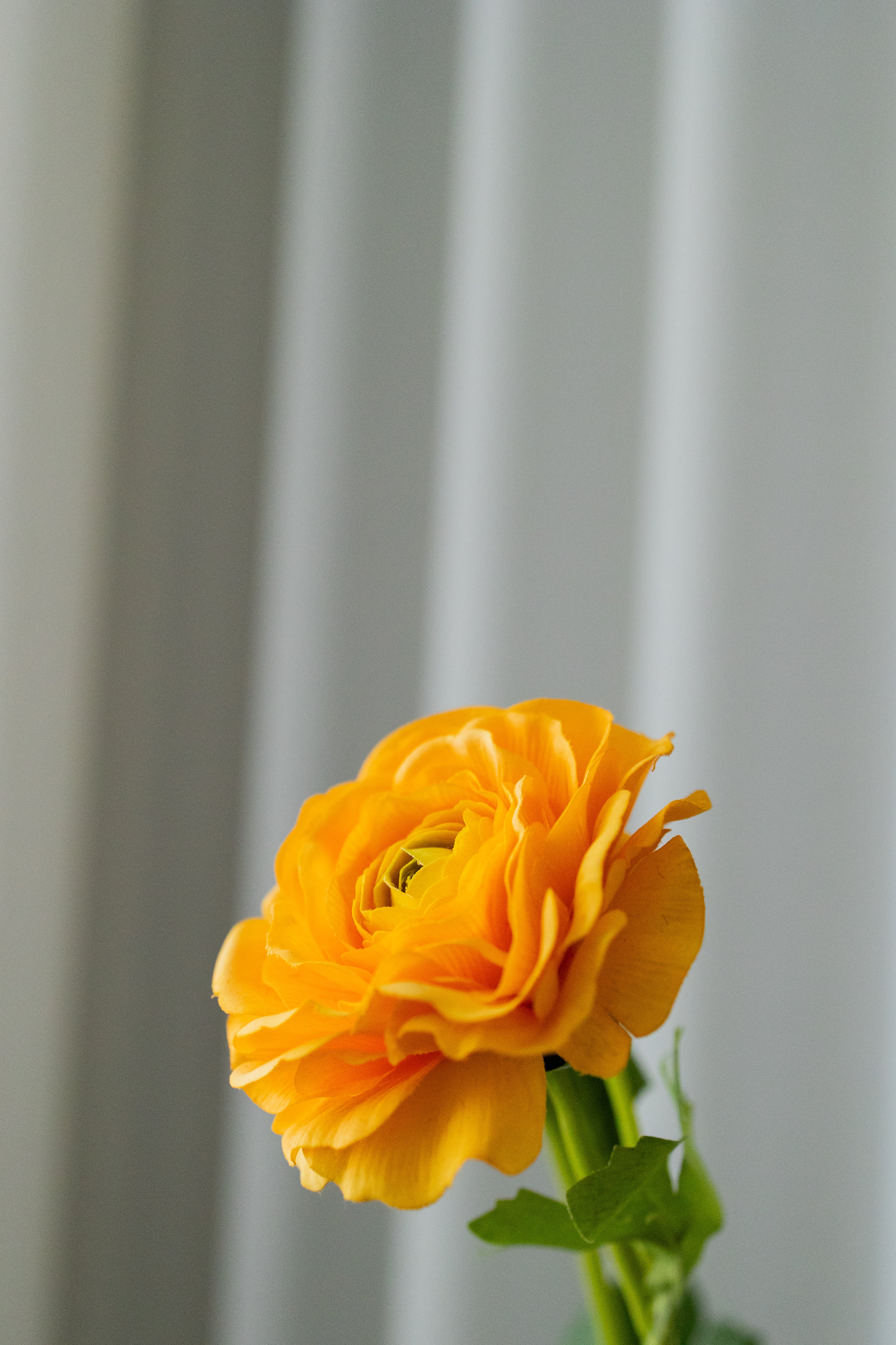 KUNSTIG RANUNKEL - ORANGE