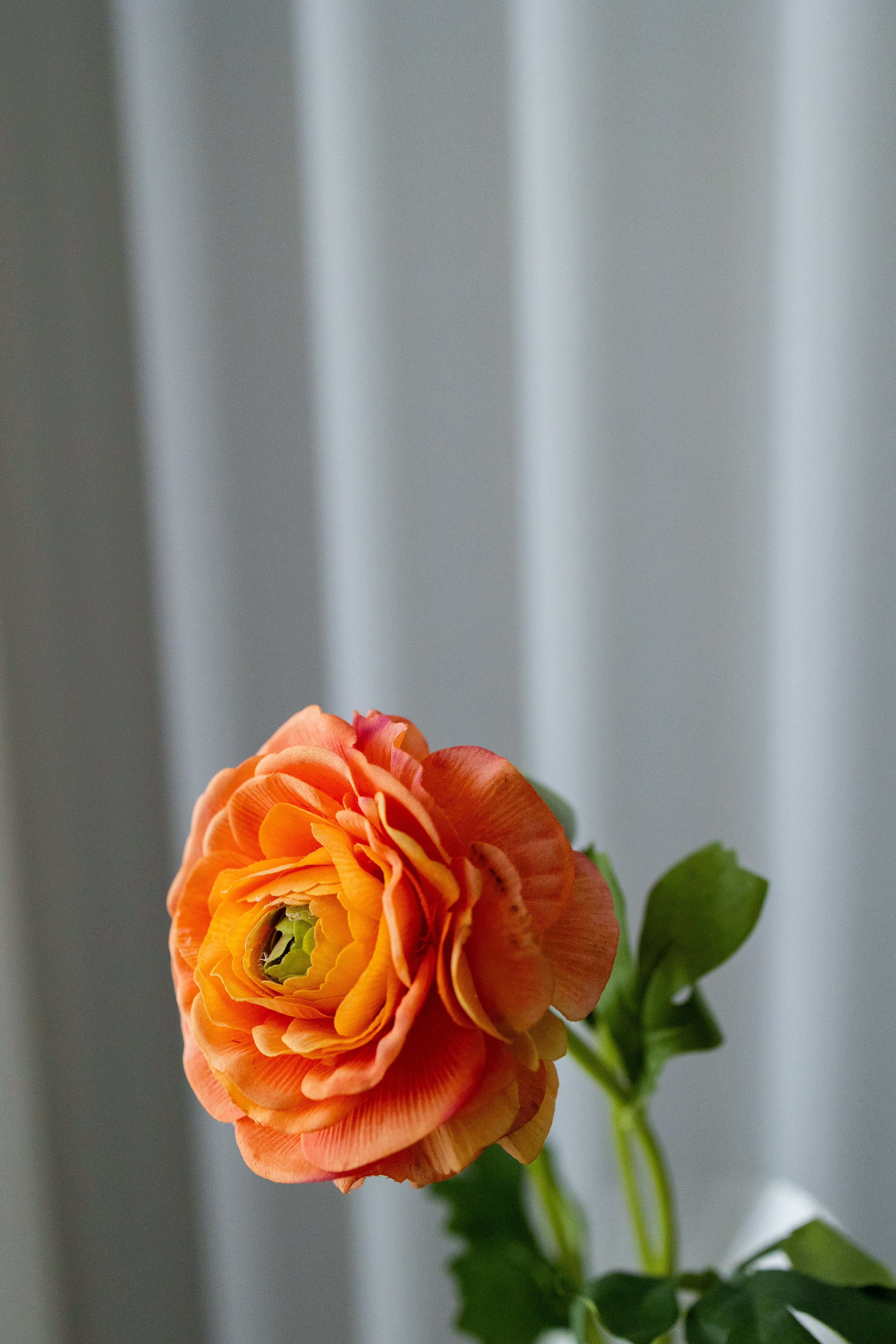 Artificial Ranunculus Flowers - Orange