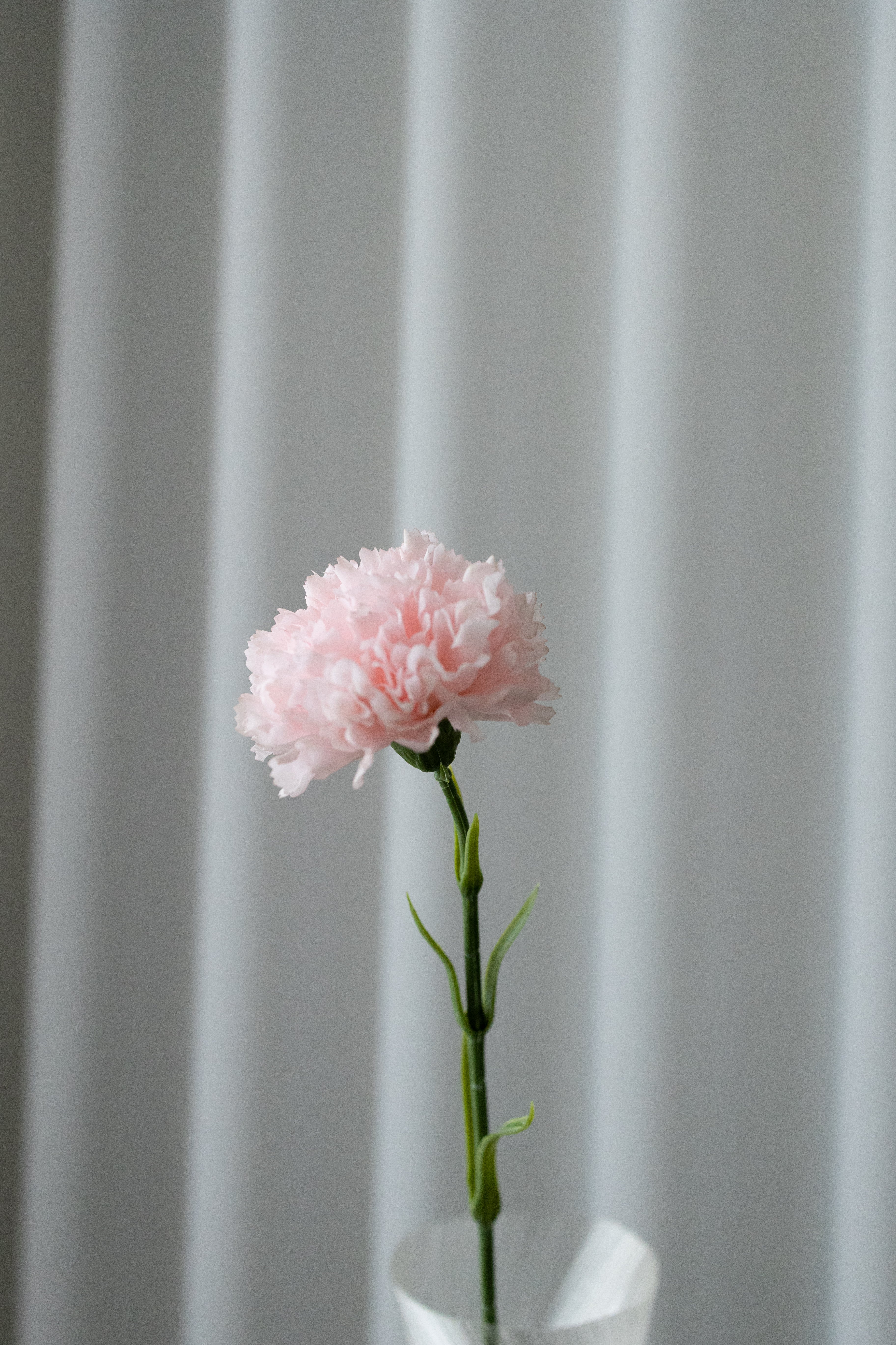 Artificial Carnation - Pink