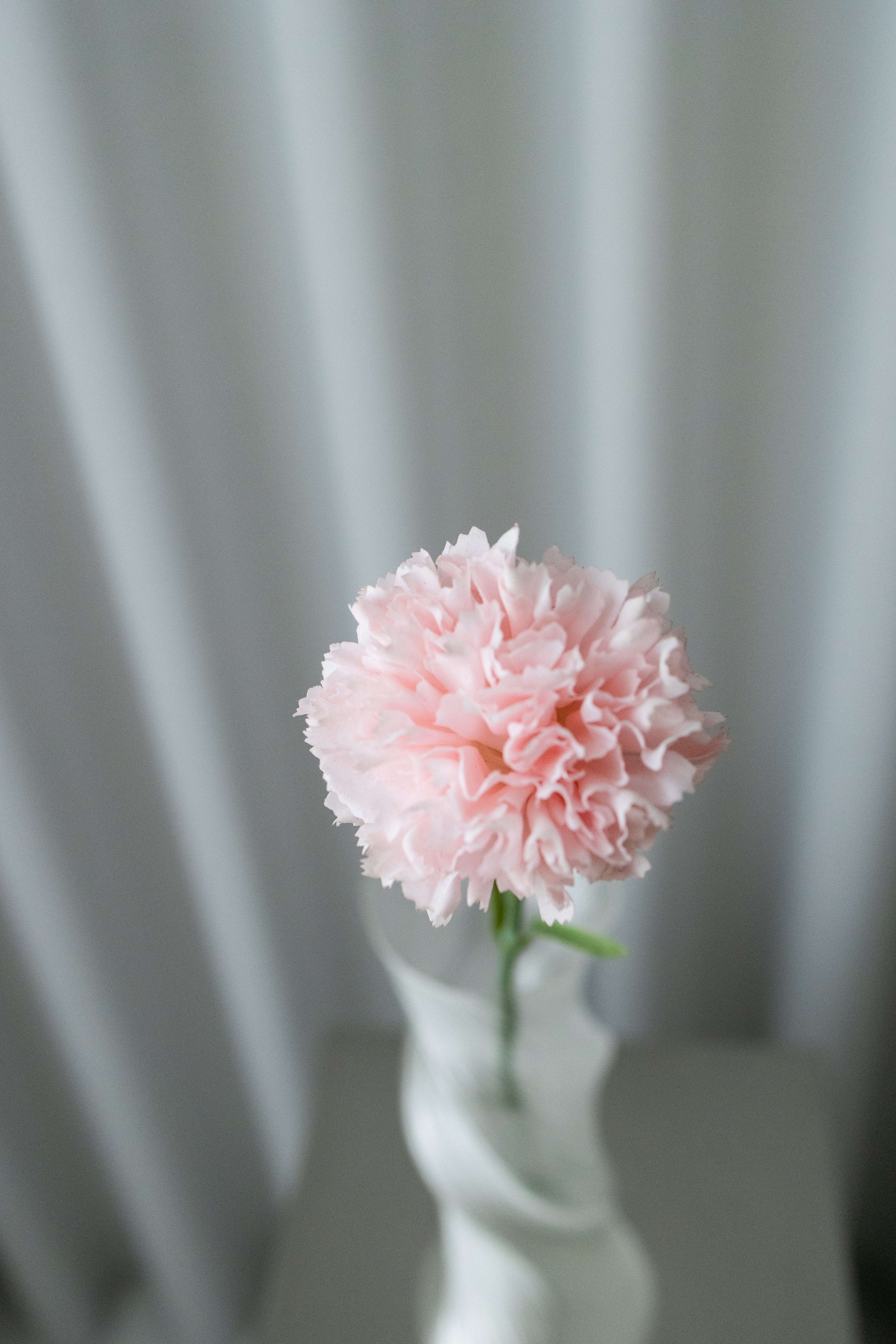 Artificial Carnation - Pink