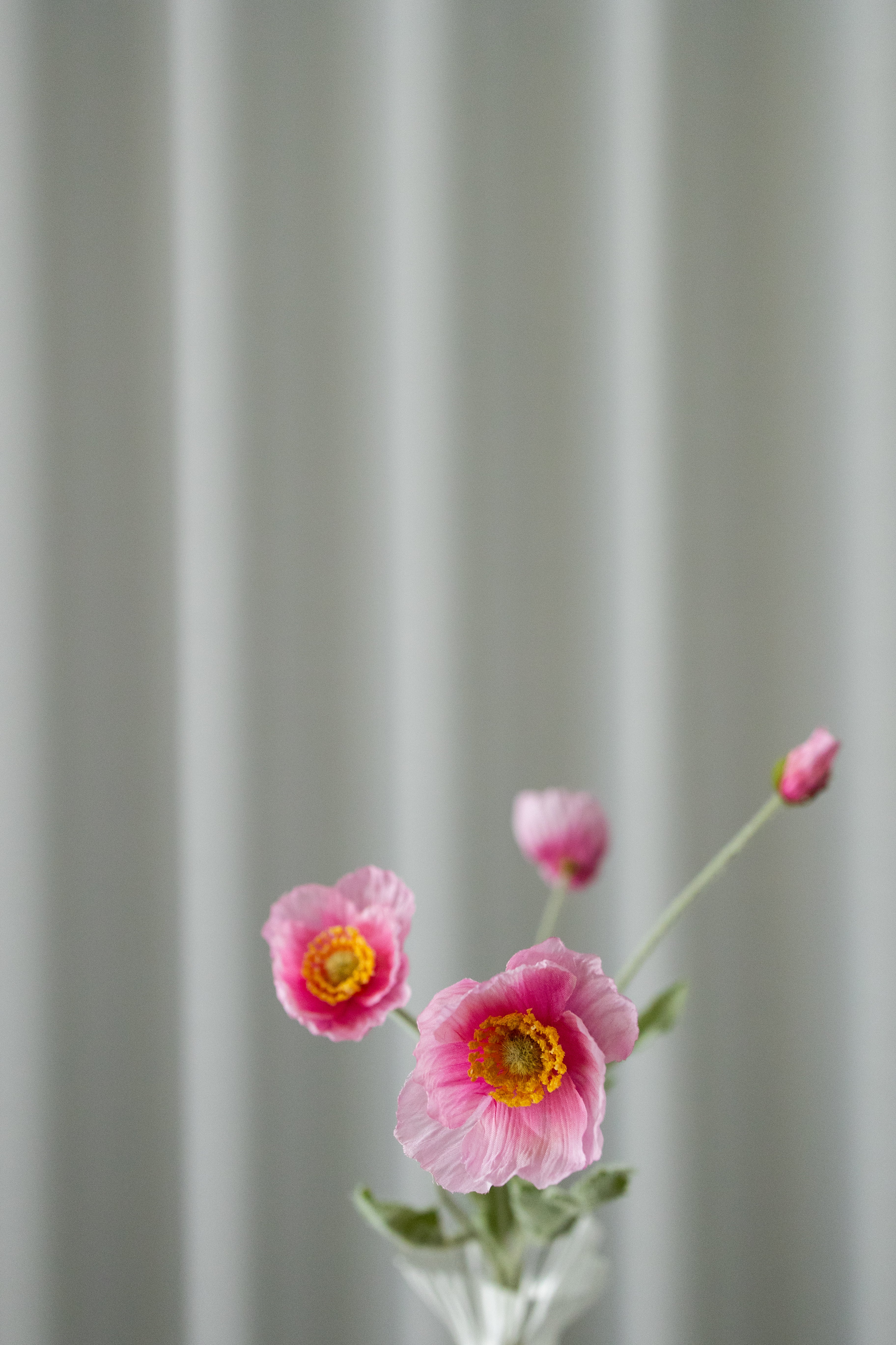 KUNSTIG VALMUE - PINK