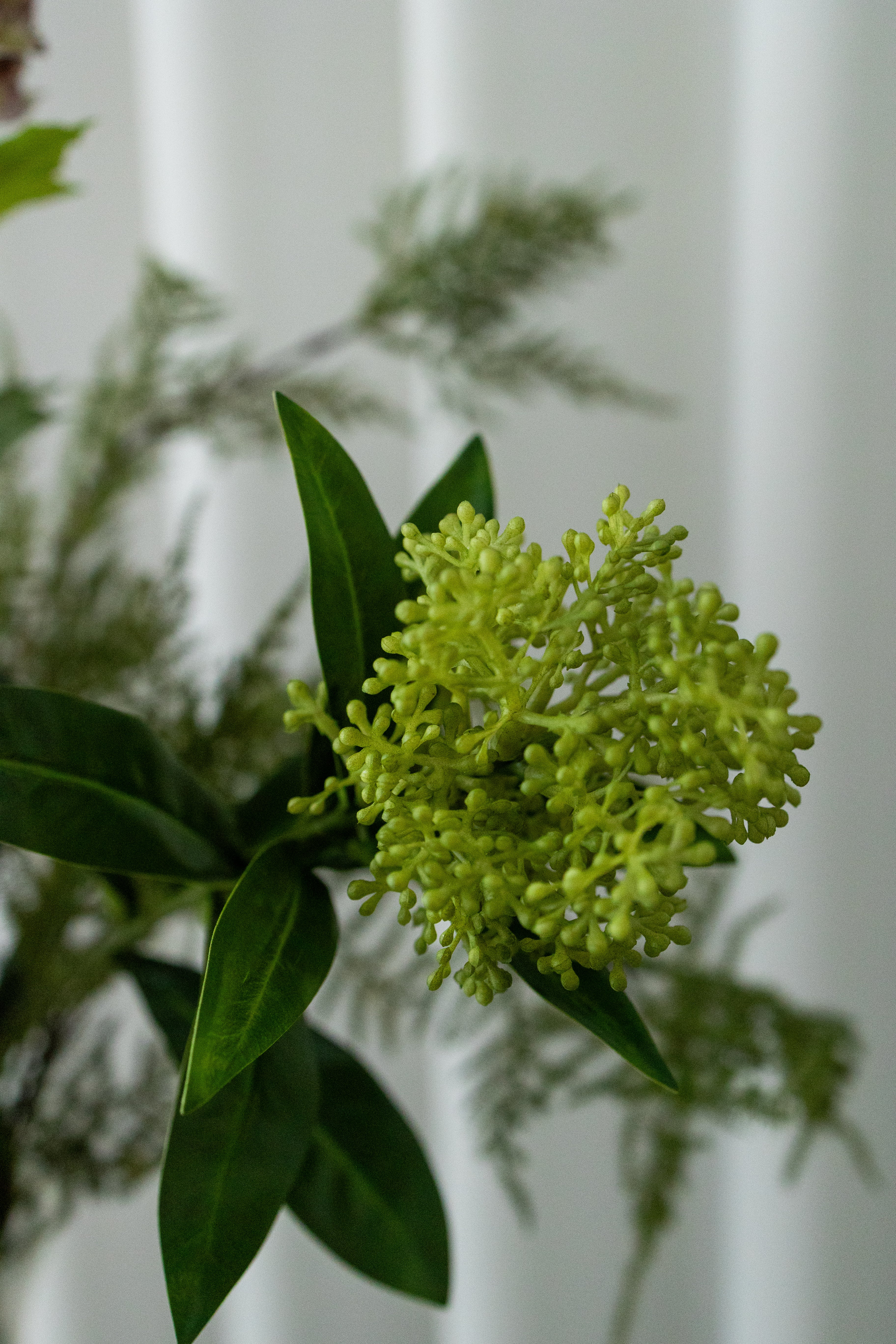 Limited Valentine's Bouquet 01