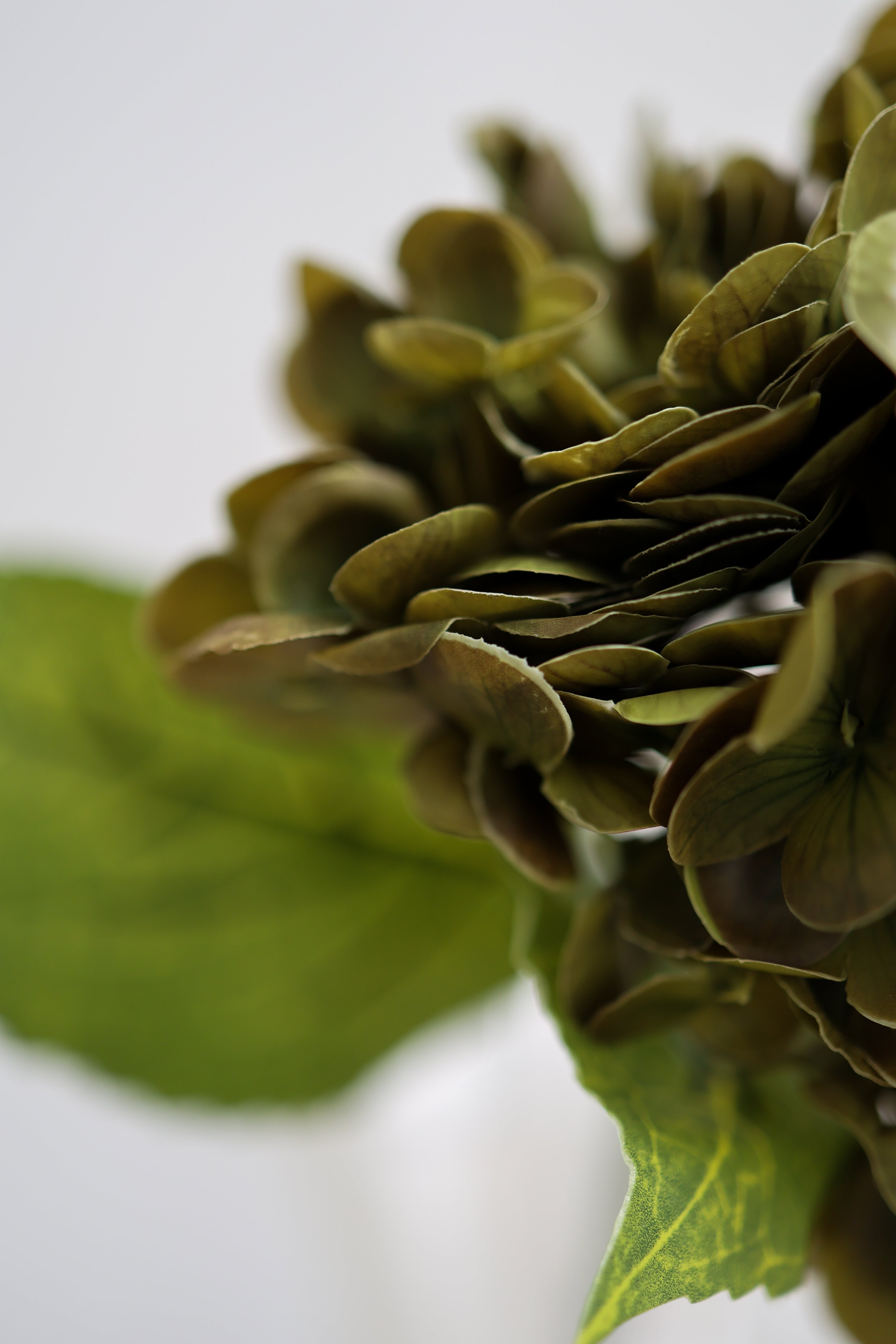 Kunstig Hortensia - Støvet Grøn