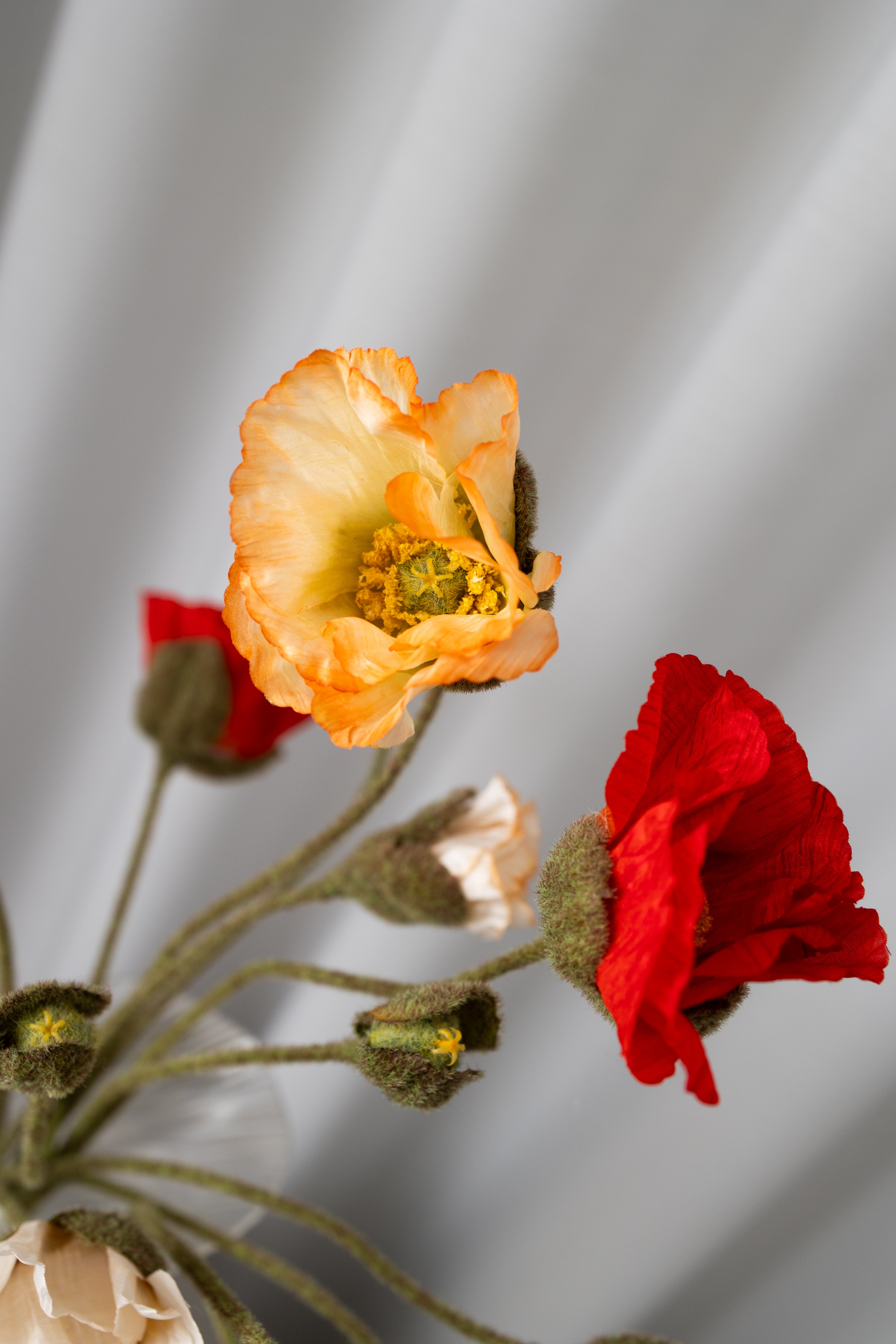 Blooming Poppy Bouquet