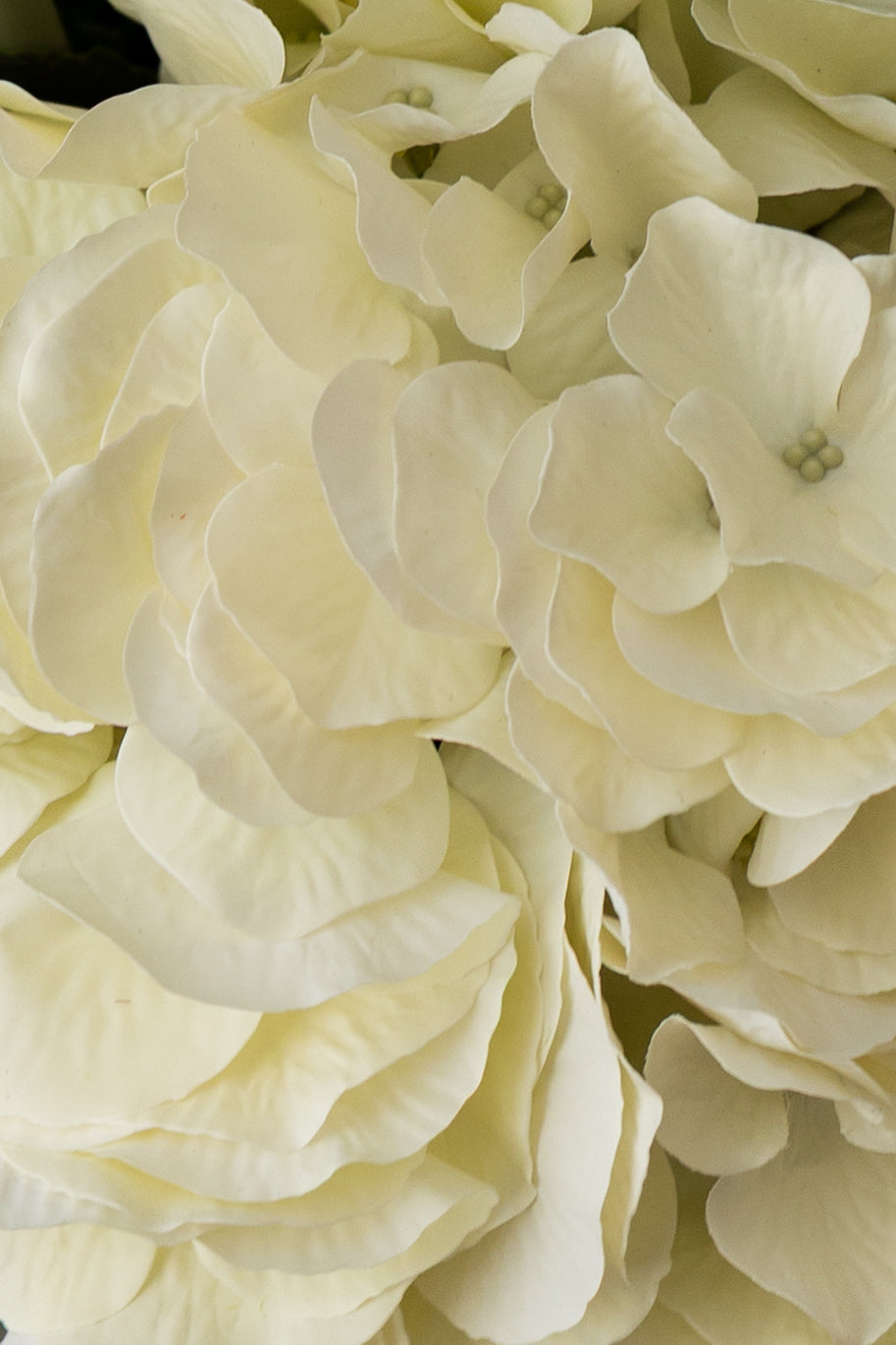 Verdant Elegance Bouquet