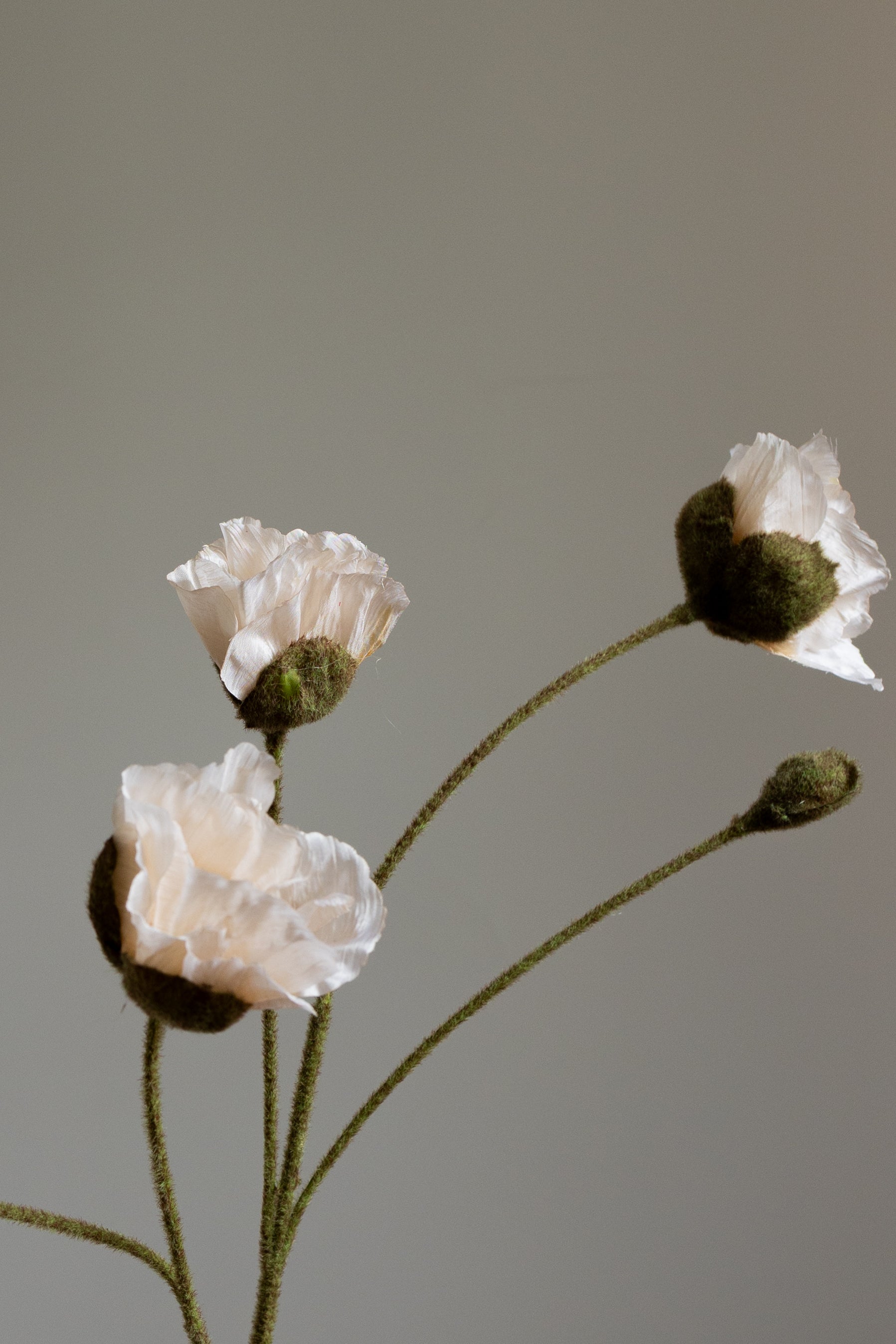 Artificial Lifelike Poppy - Nature White