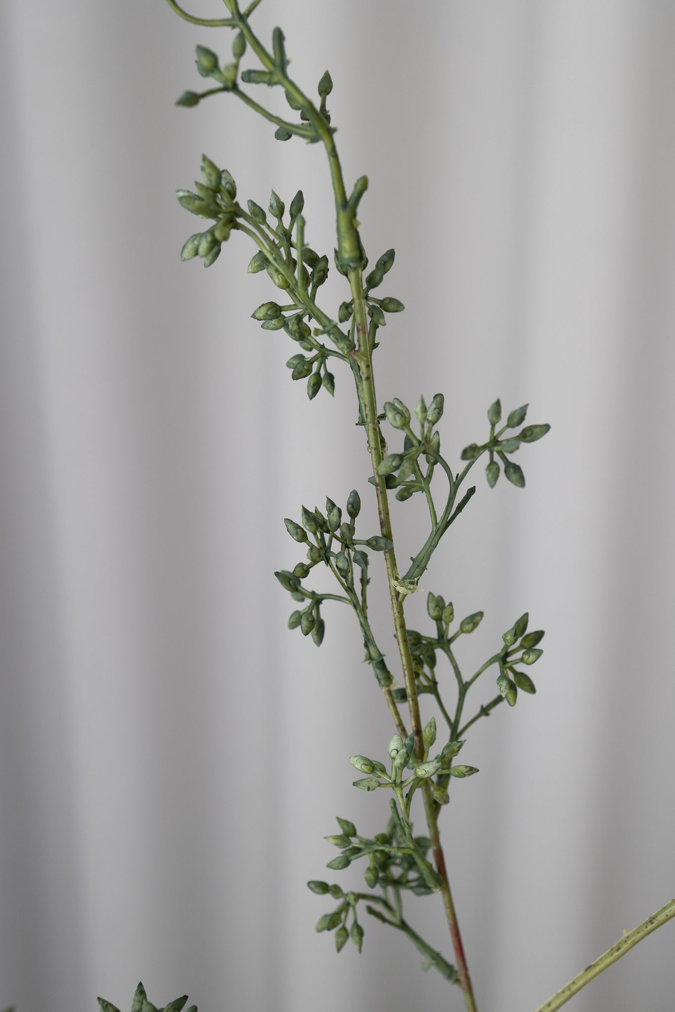 Artificial Eucalyptus Seed - Green