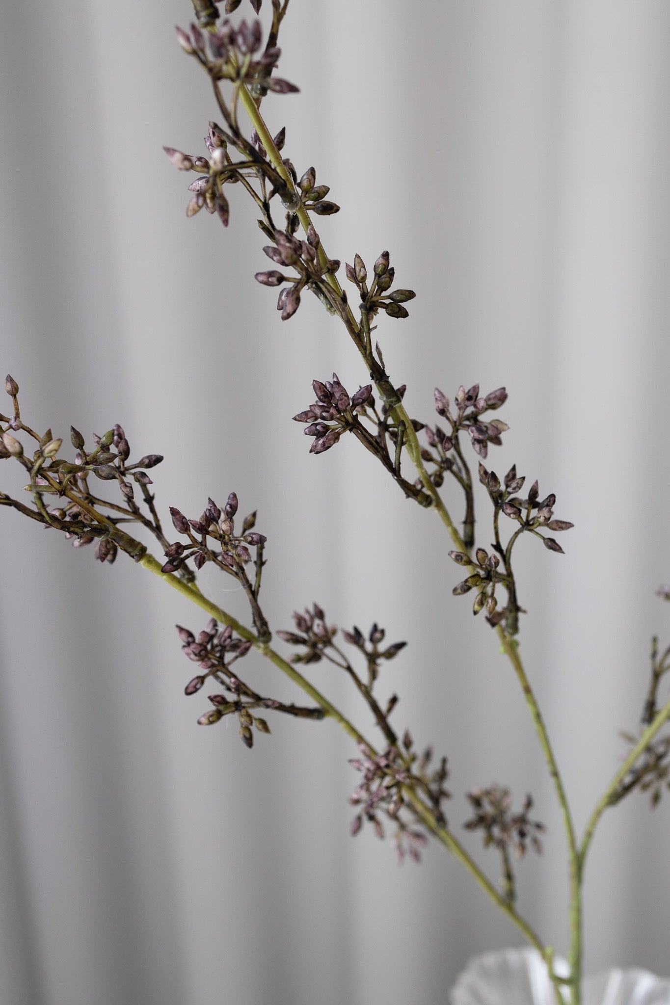 Kunstig Eukalyptusgren - Støvet