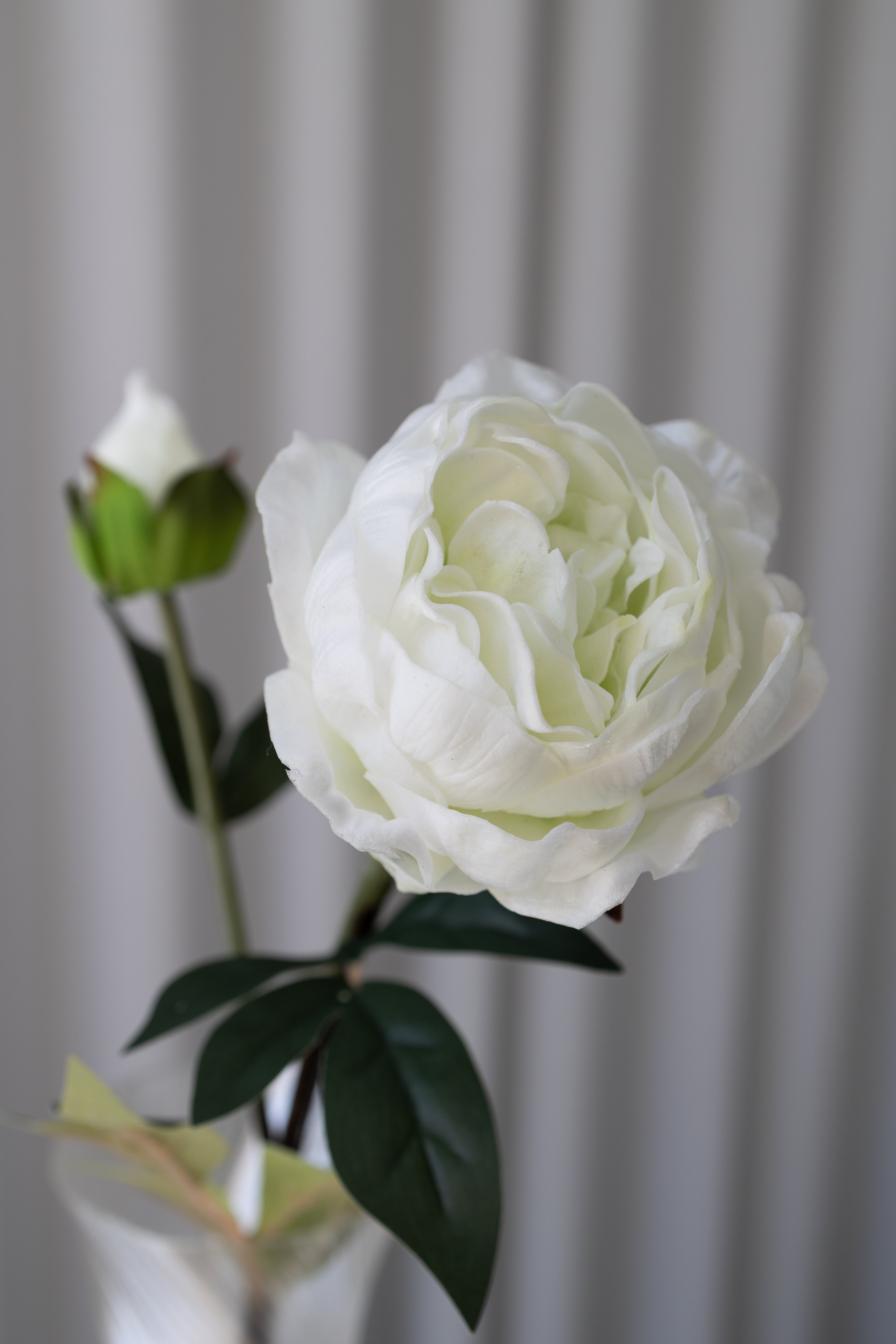 Artificial Closed Peony White