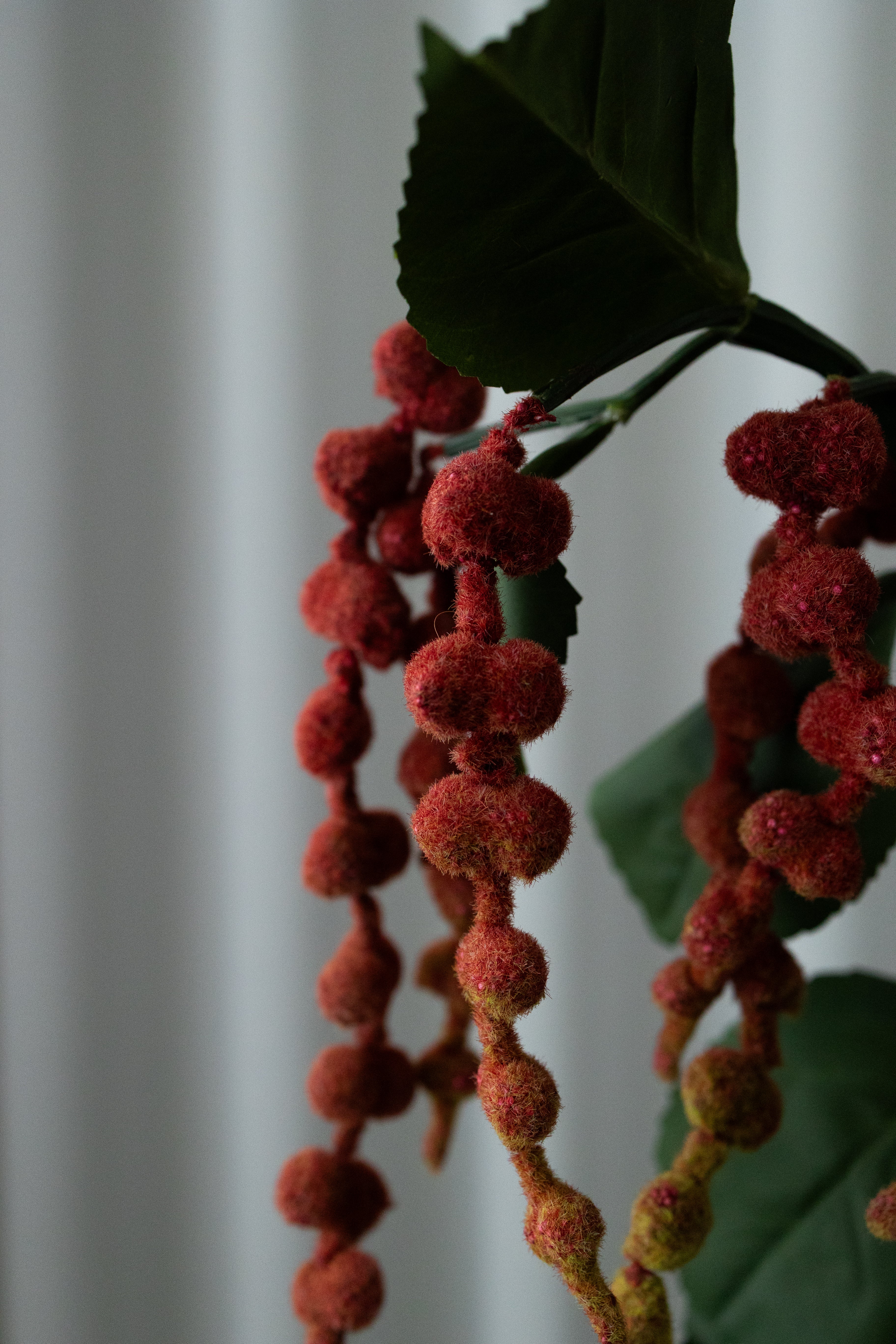 Kunstig Naturtro Amaranthus Lille - Rød