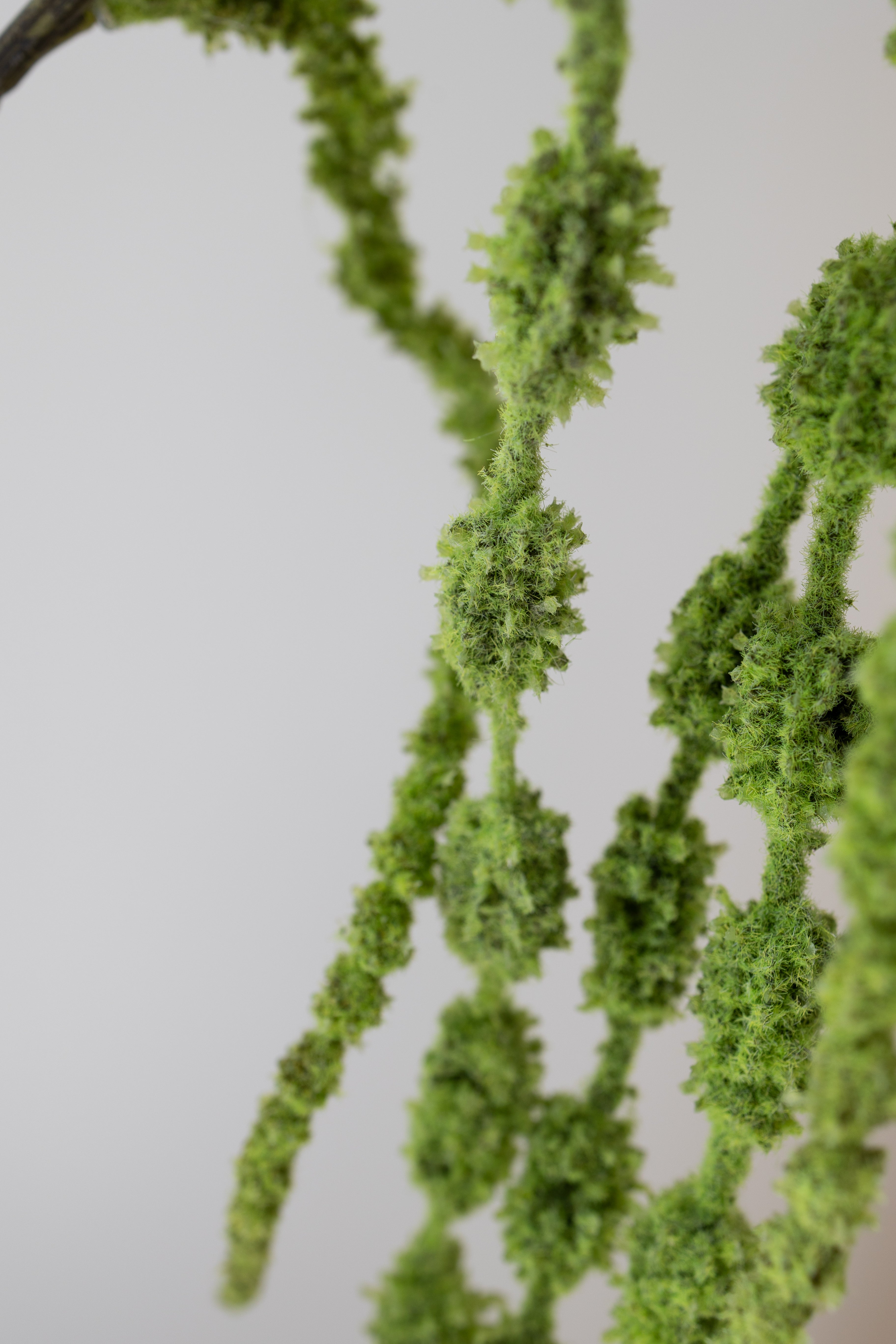 Artificial Amaranthus 6 fork