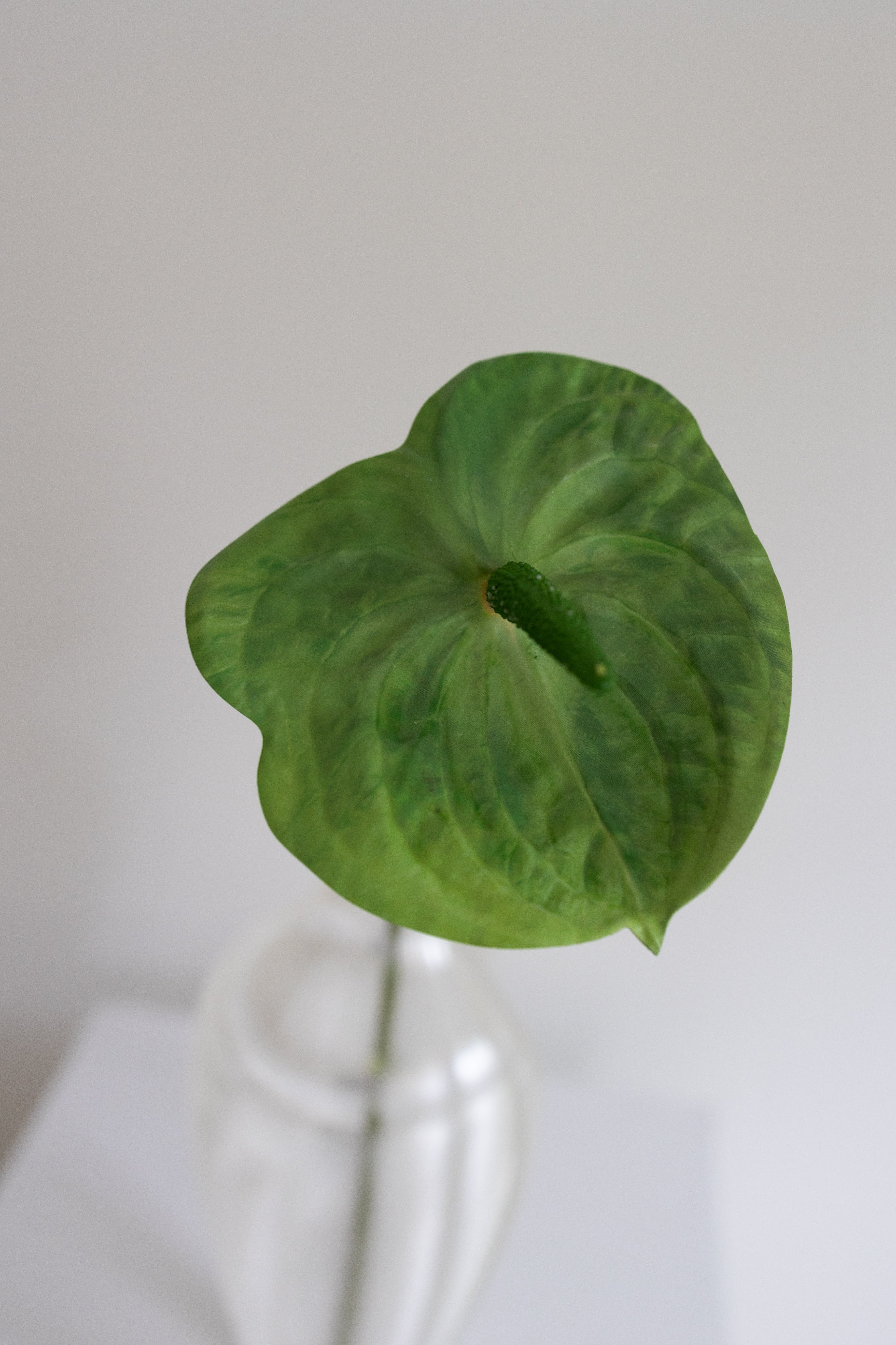 Kunstig Anthurium - Grøn