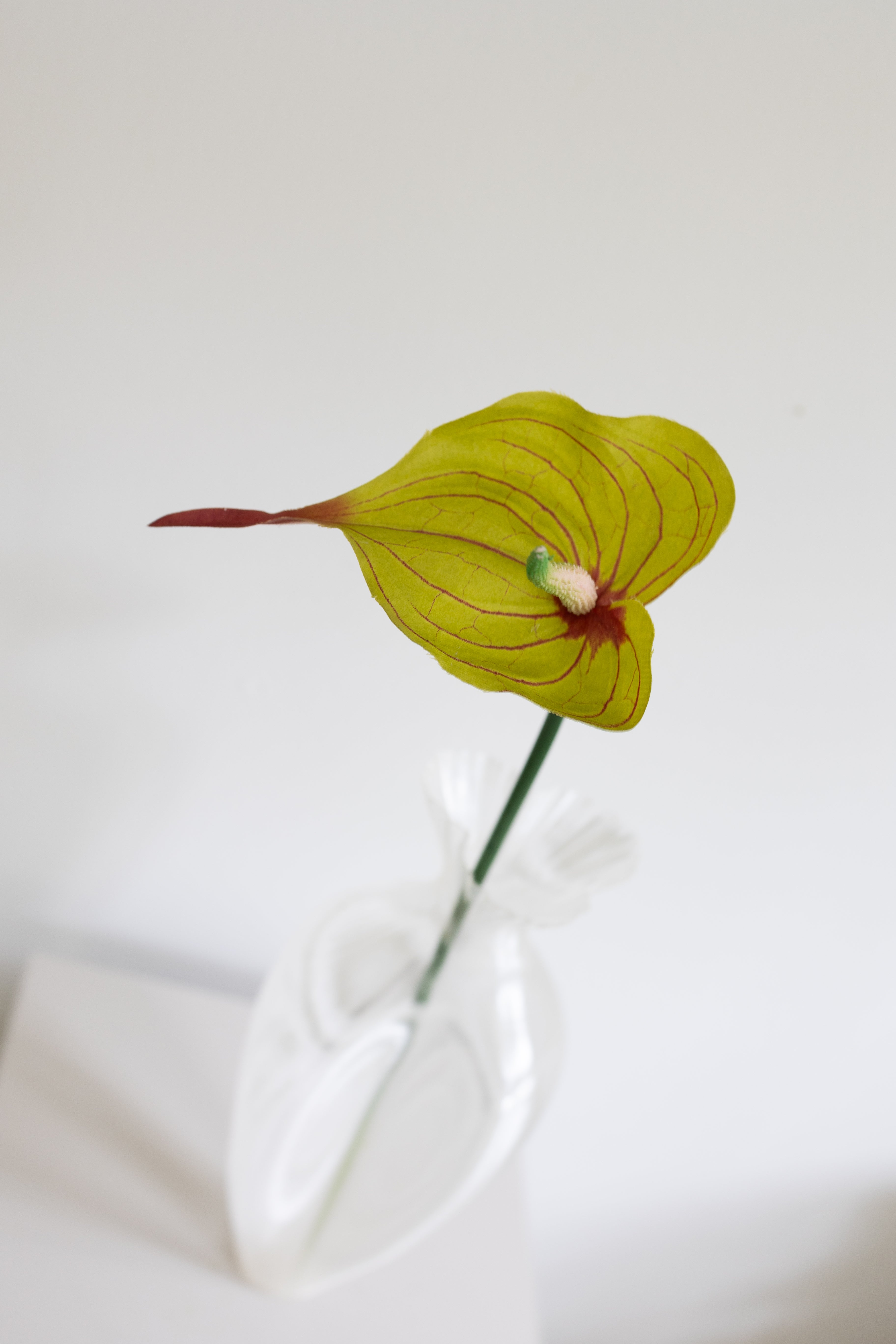 Kunstig Anthurium - Grøn/Rød