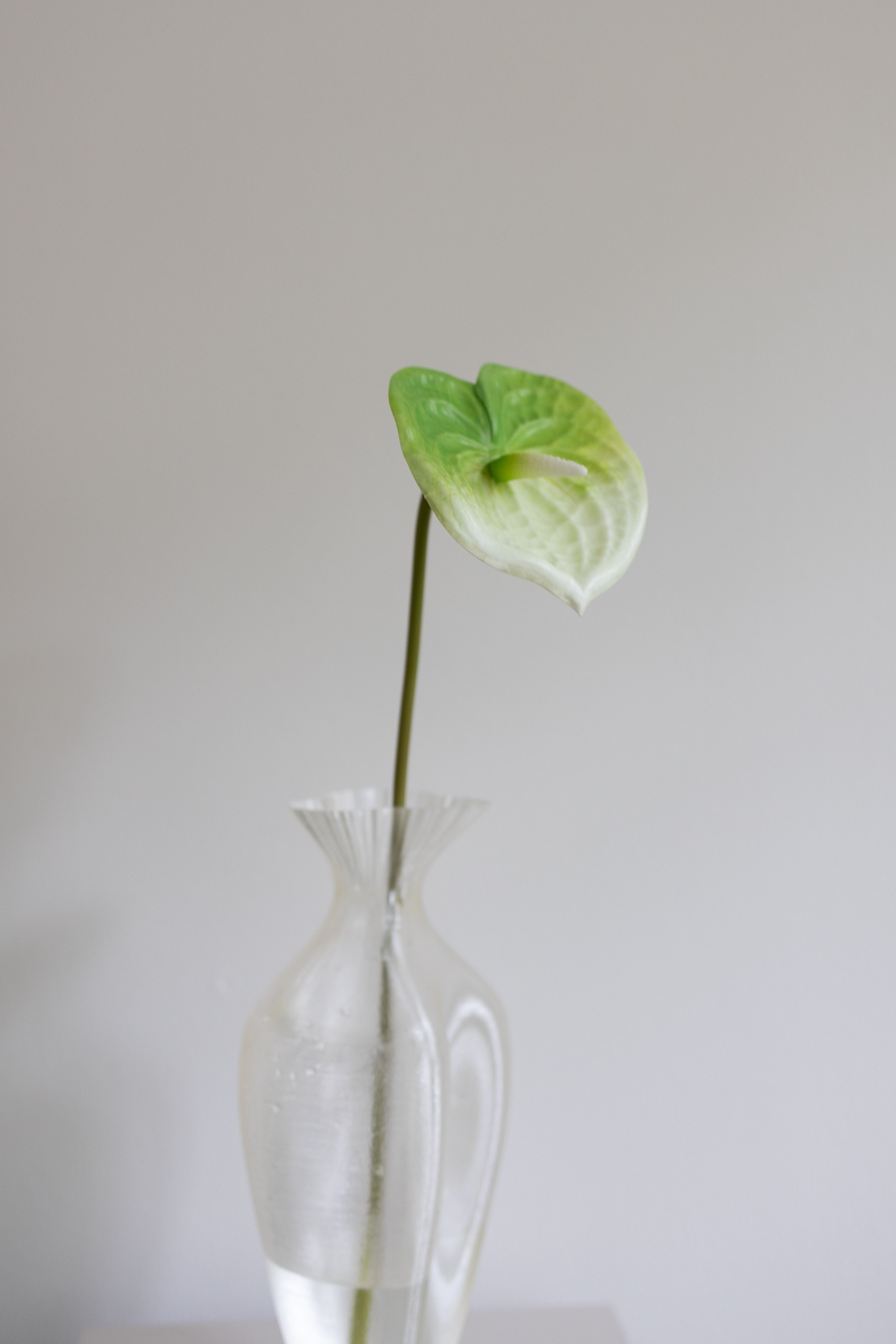 Artificial Anthurium - Light Green