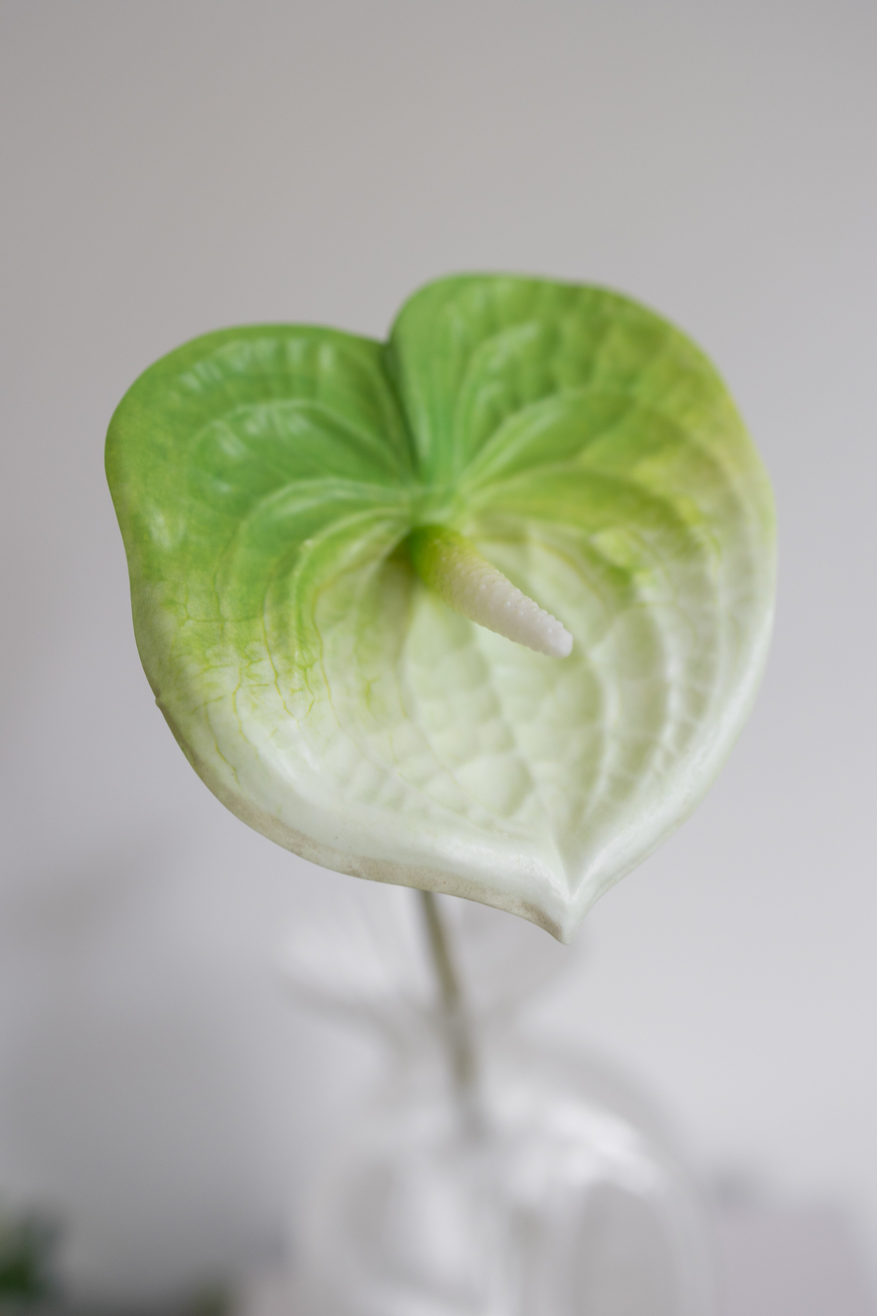 Artificial Anthurium - Light Green