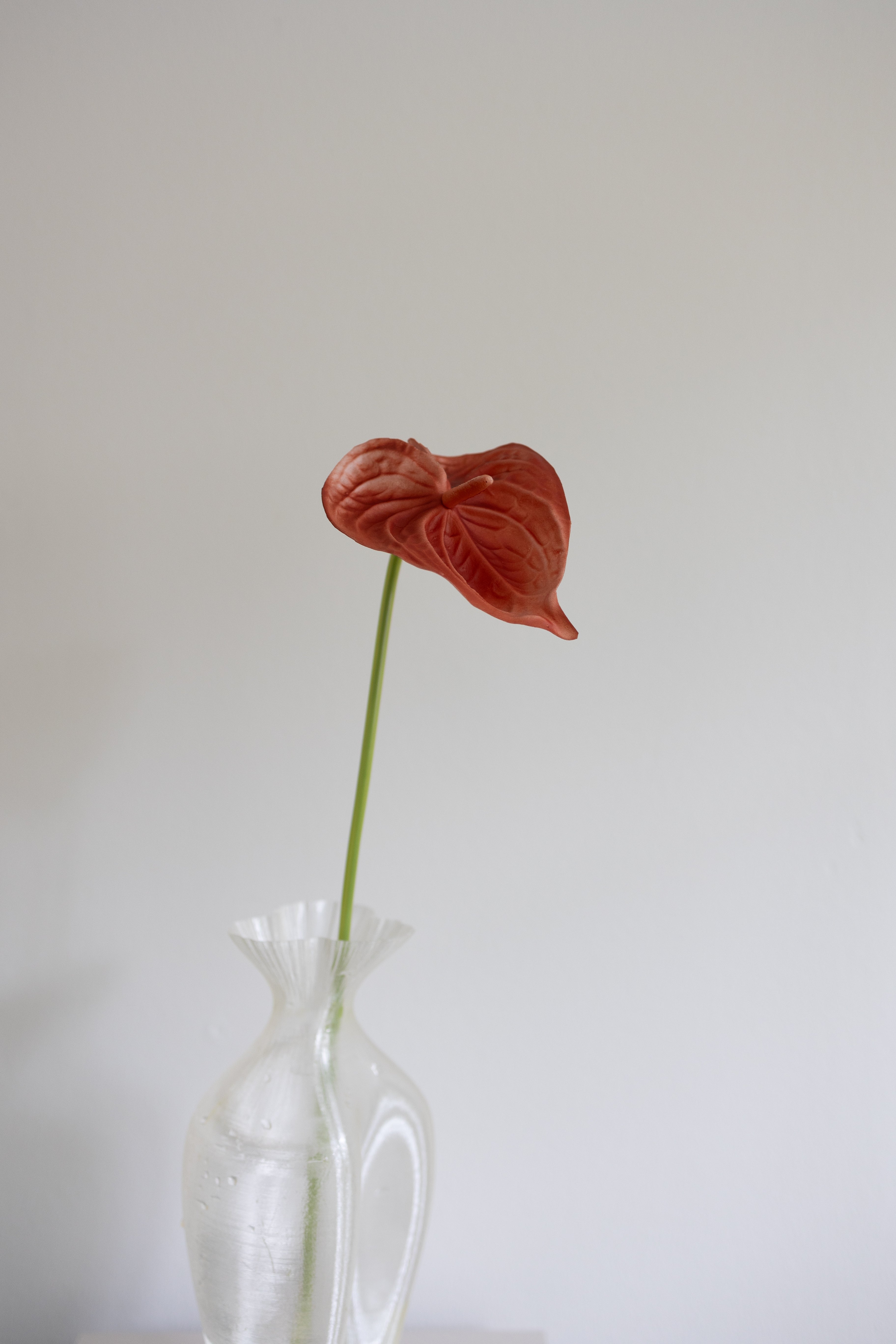 Artificial Anthurium - Orange