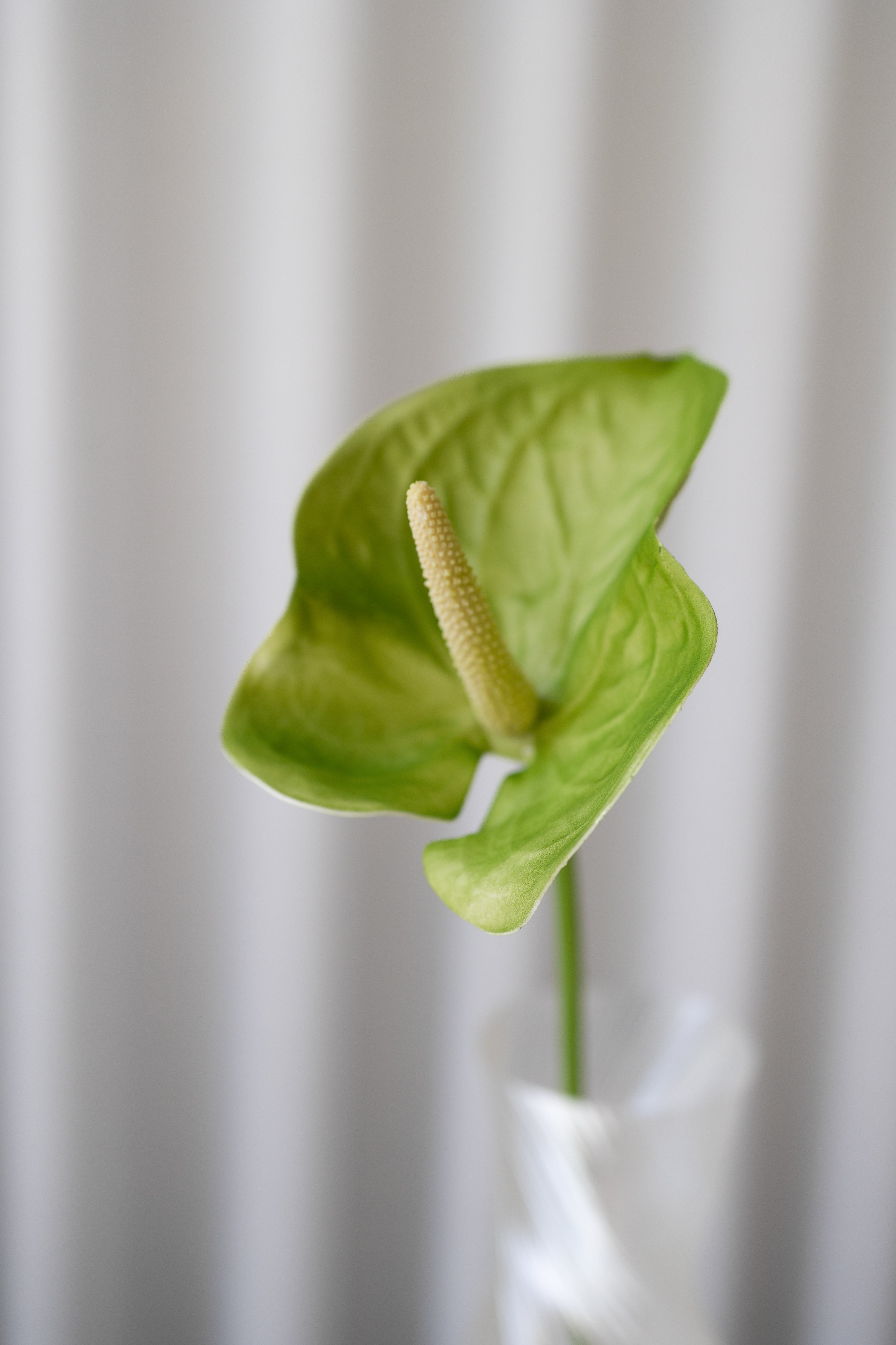 Artificial Anthurium PU - Green