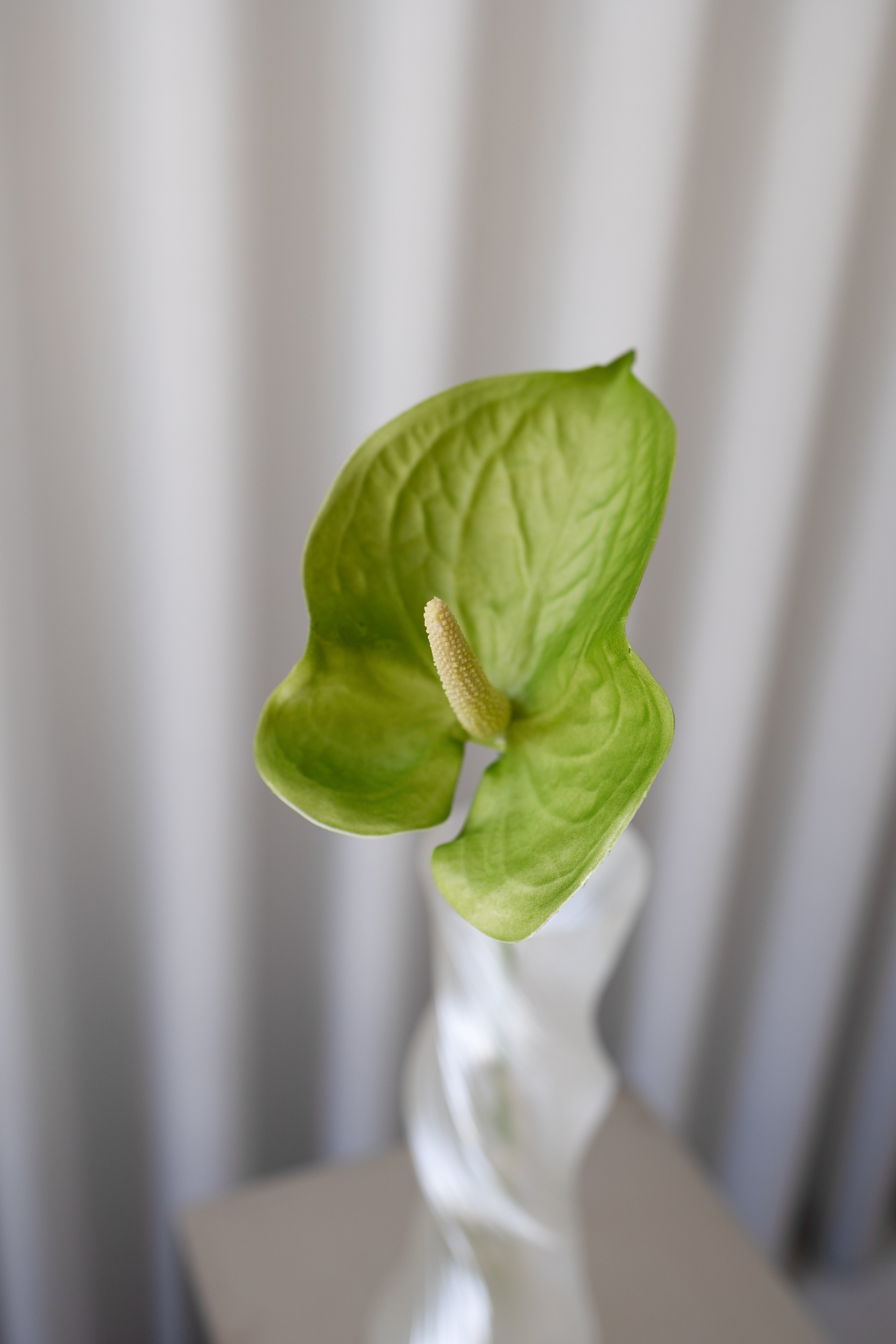 Artificial Anthurium PU - Green