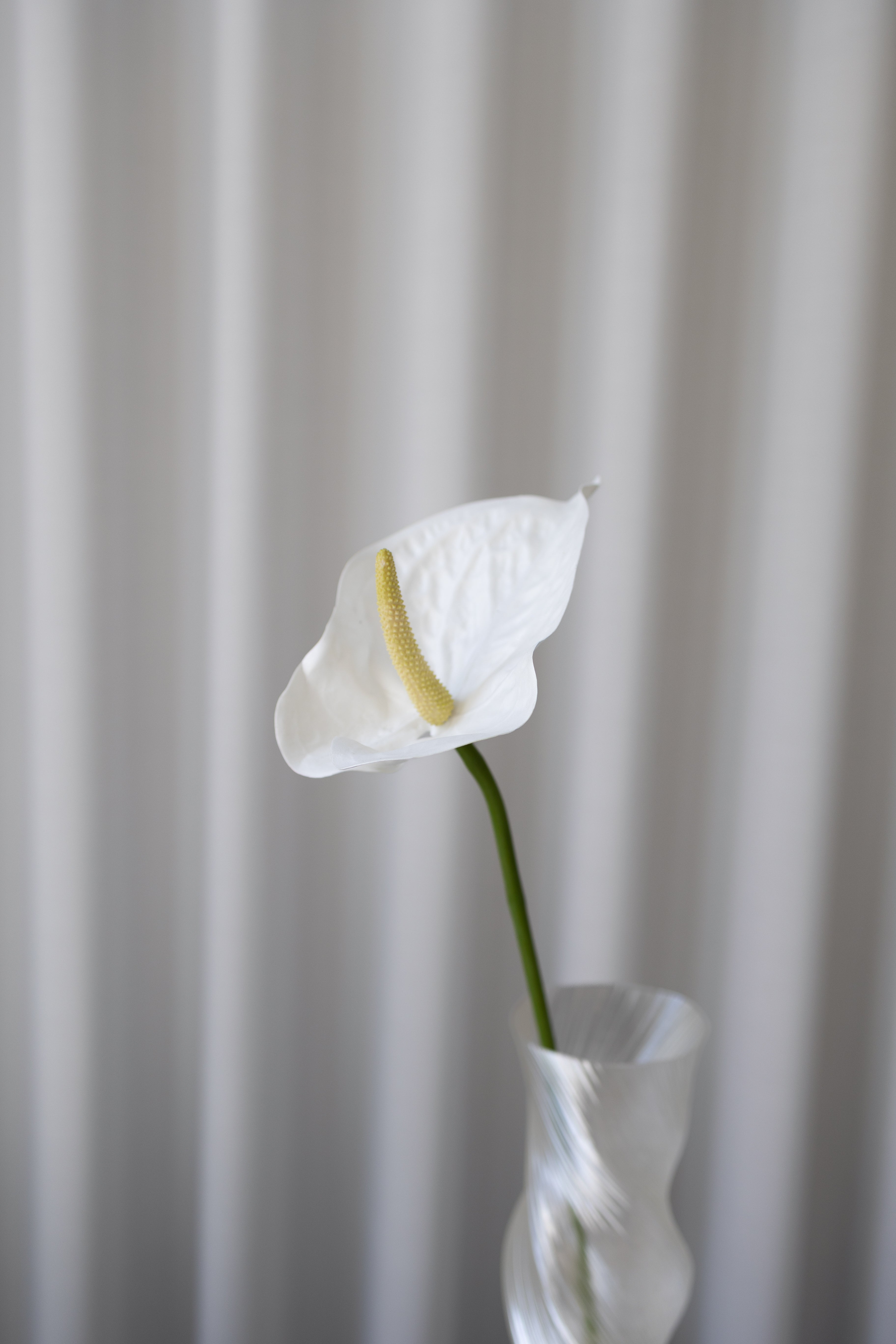 Artificial Anthurium PU - White