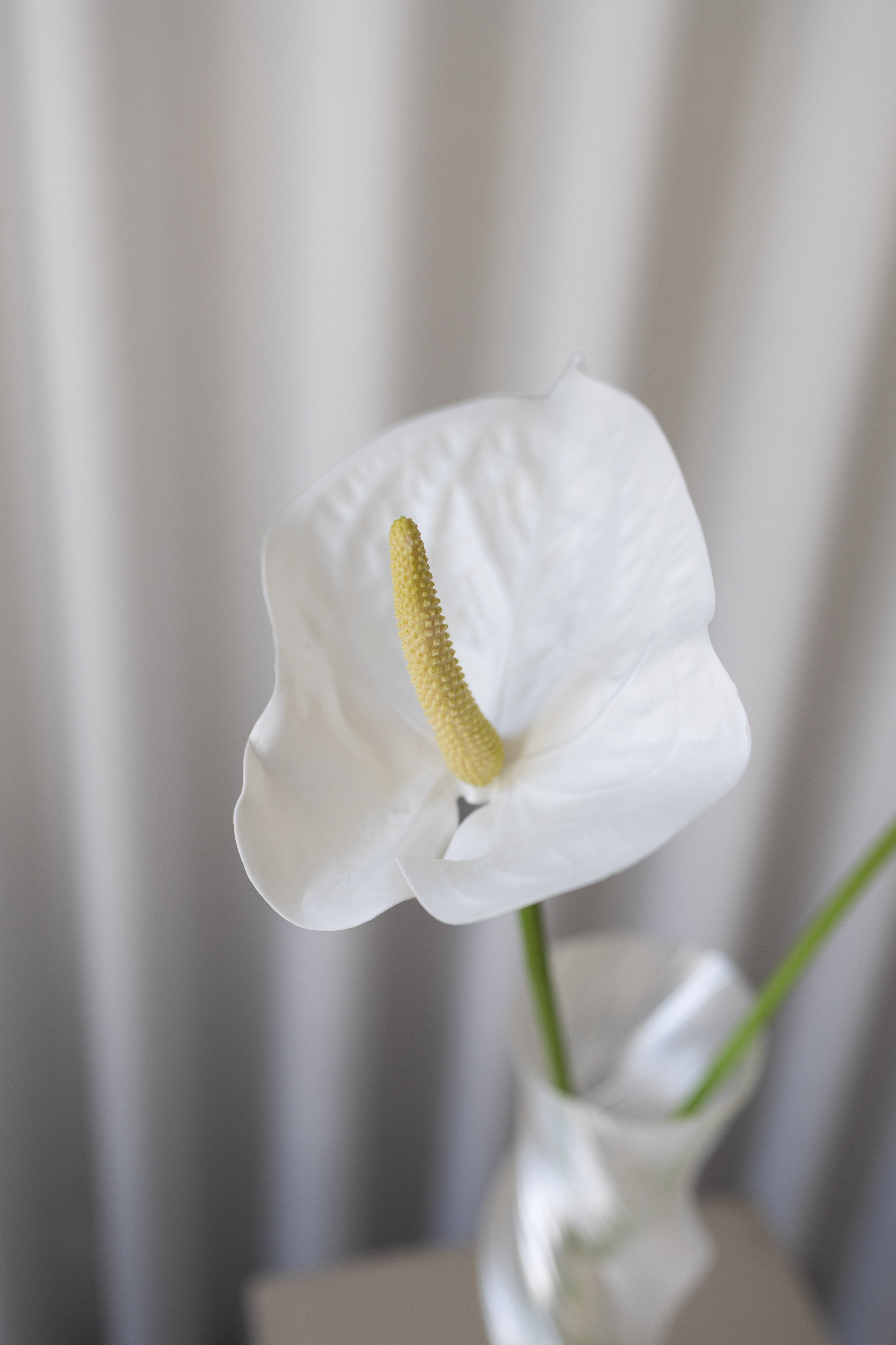 Artificial Anthurium PU - White
