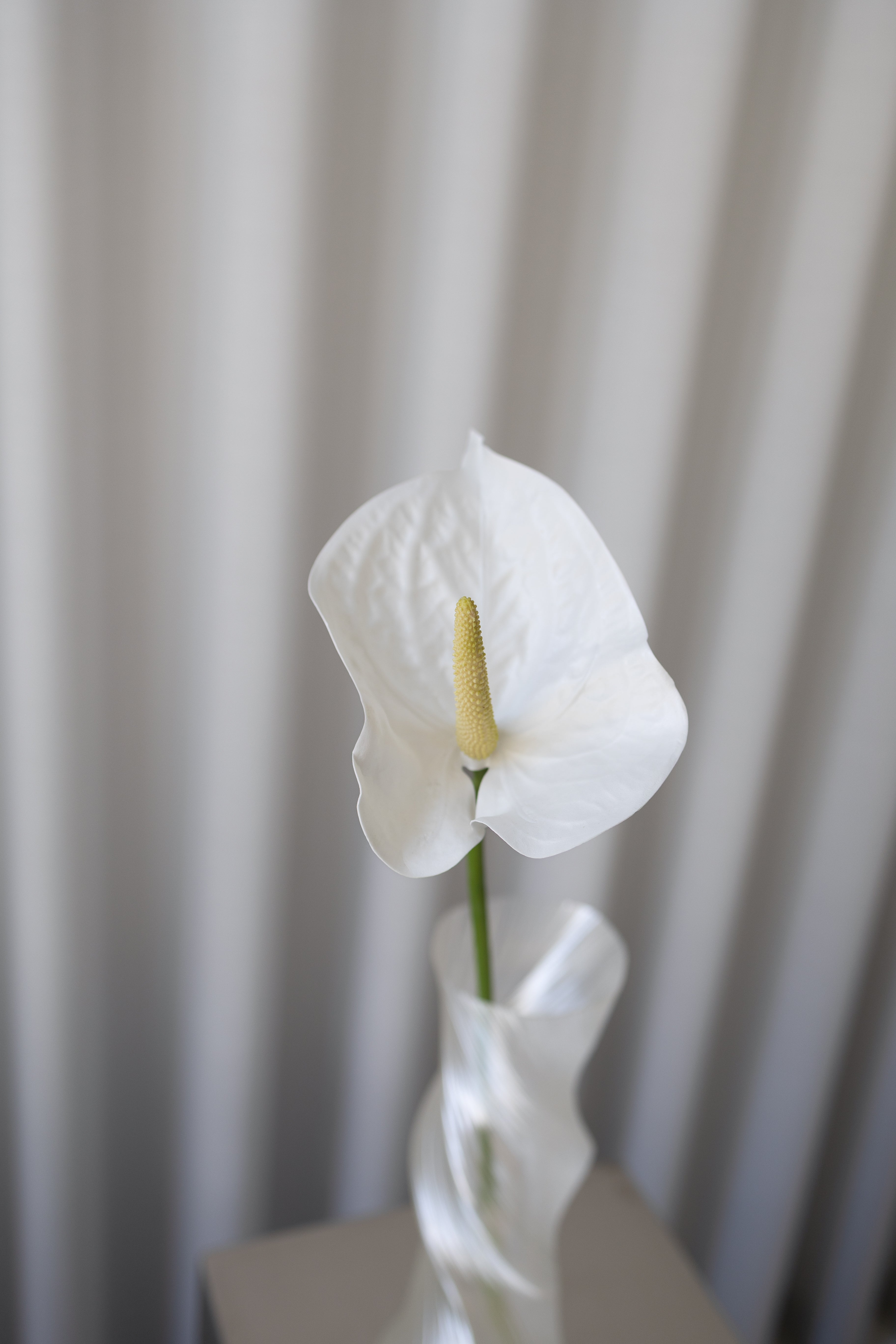 Artificial Anthurium PU - White