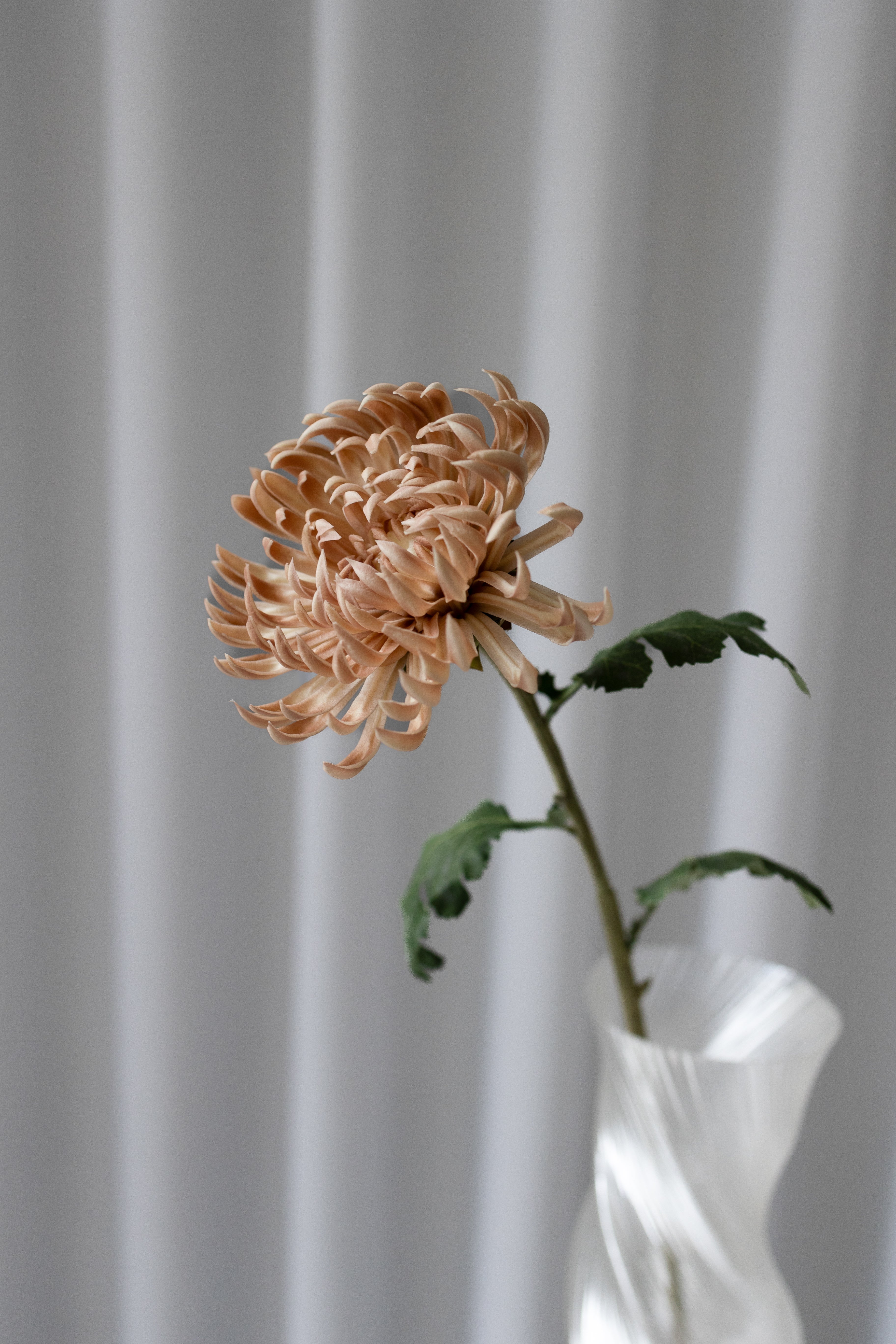 Artificial Cactus Dahlia Beige