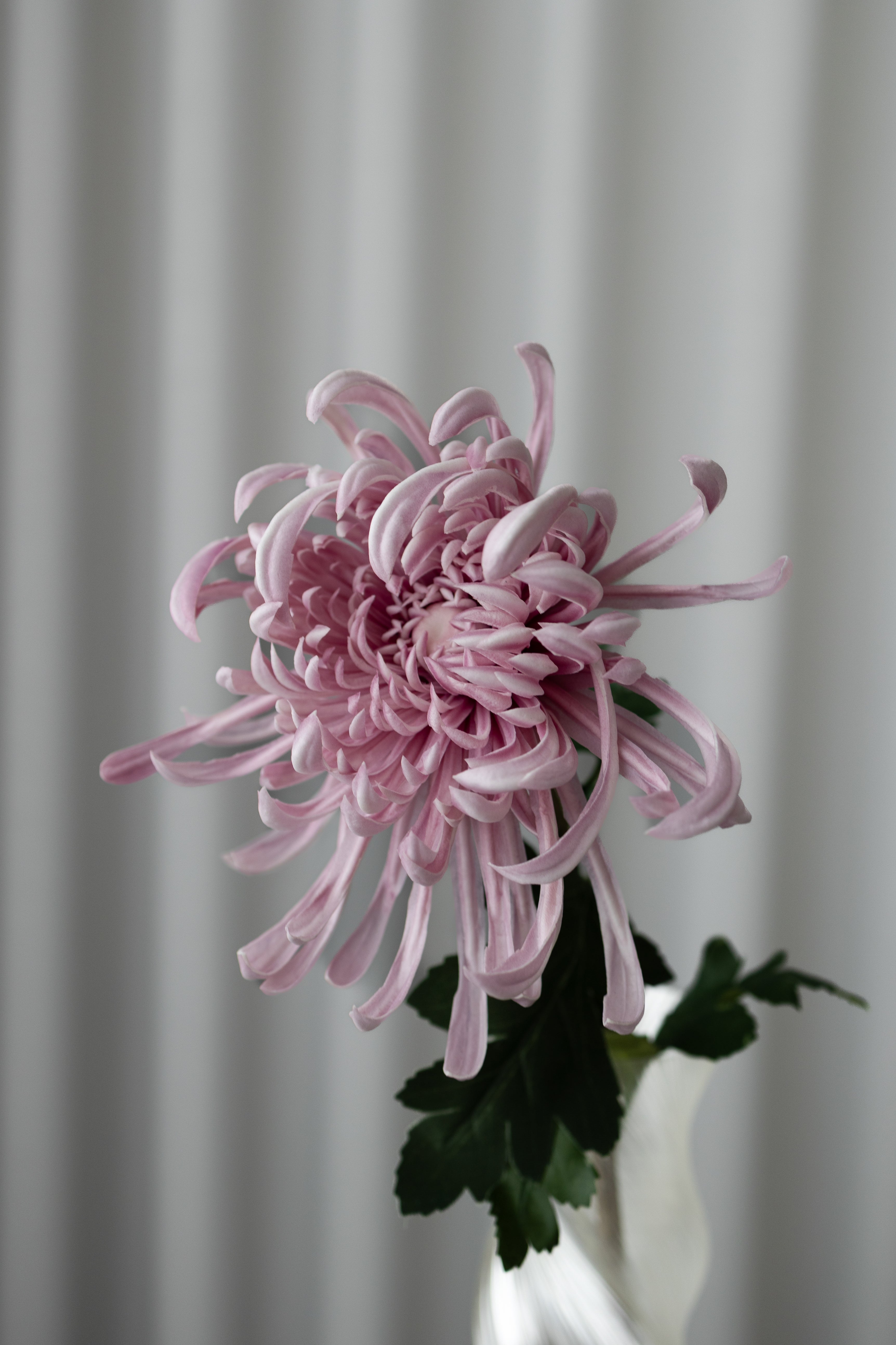 Artificial Chrysanthemum - Purple