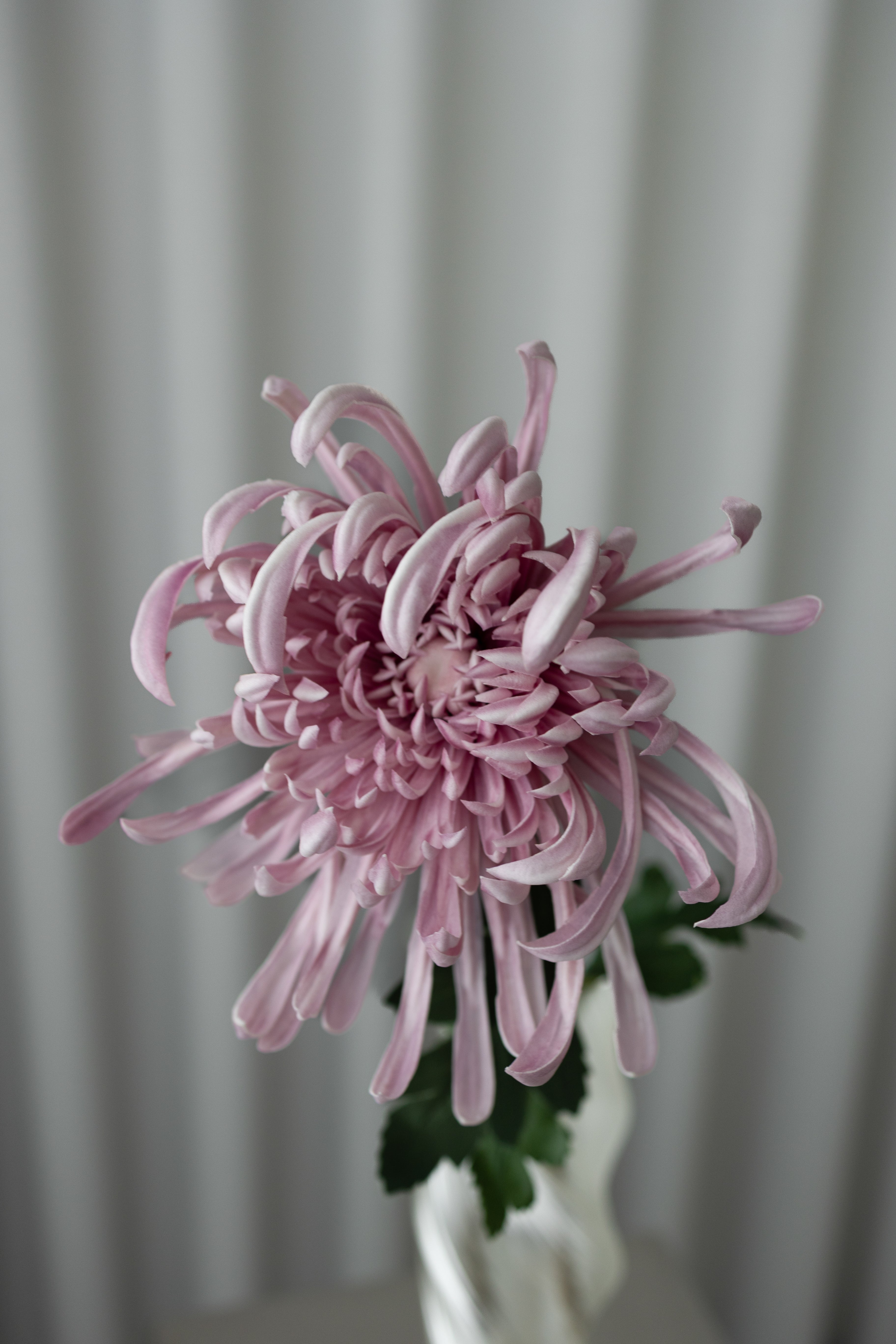 Artificial Chrysanthemum - Purple
