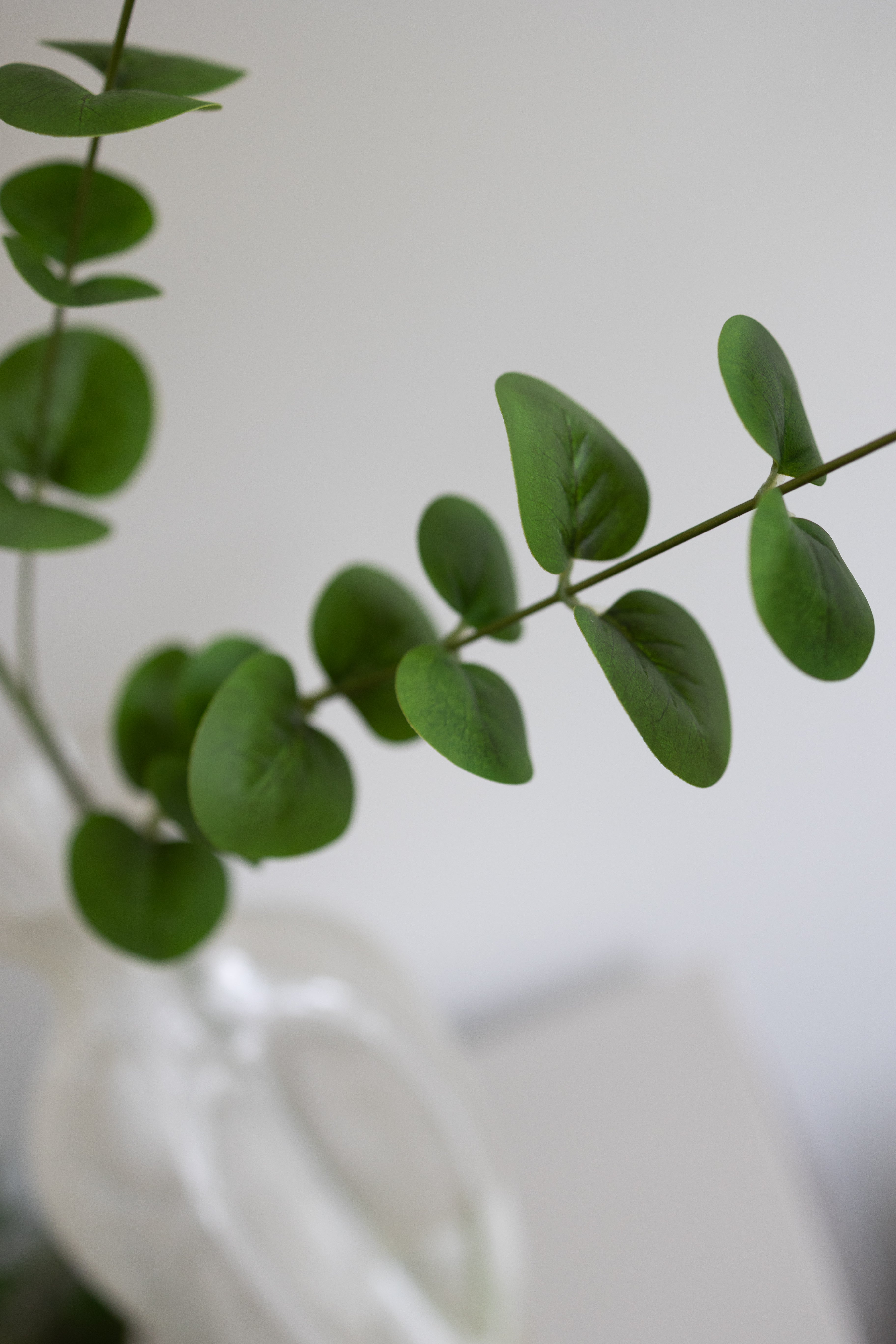 Artificial Eucalyptus