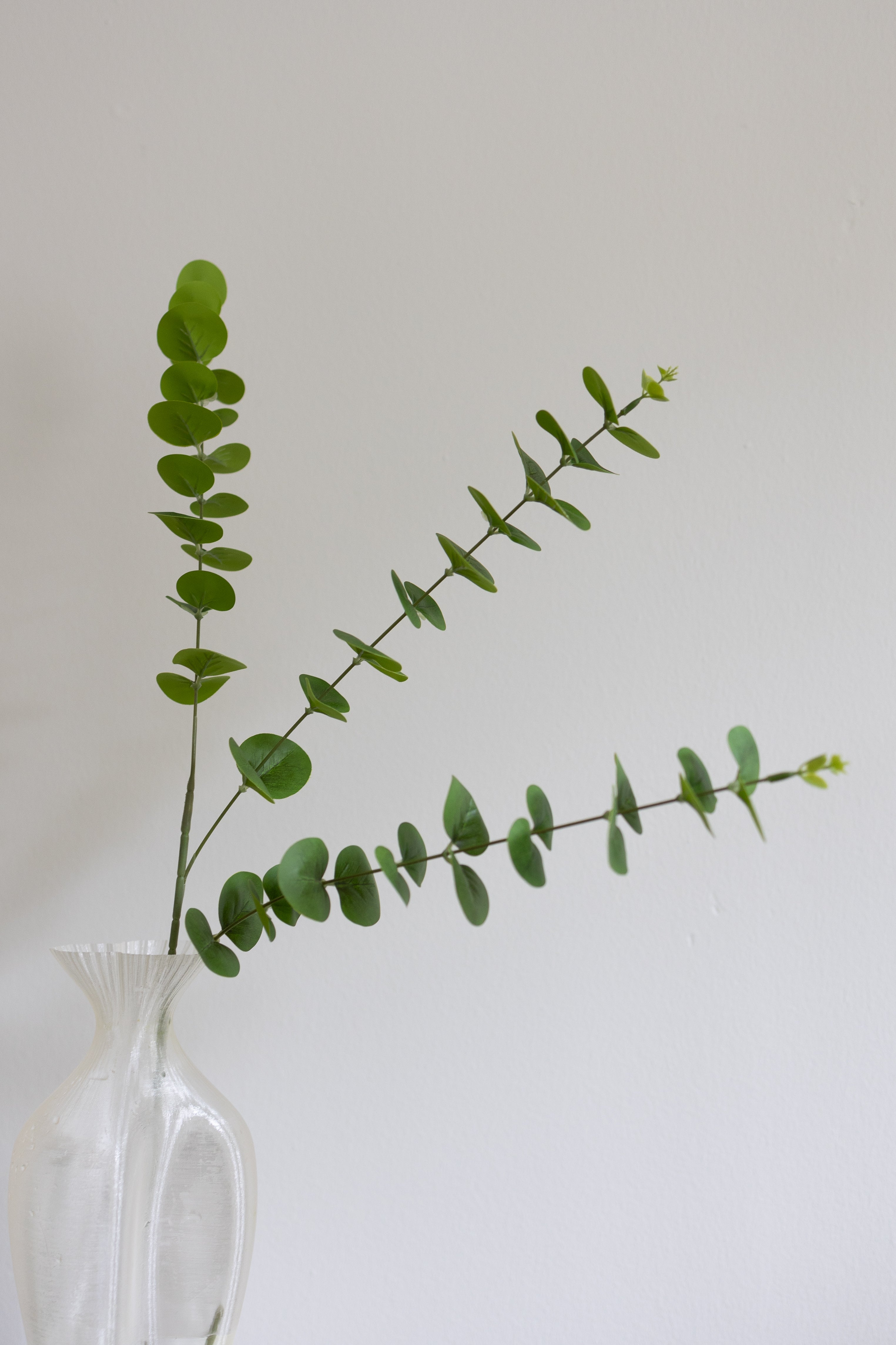 Artificial Eucalyptus