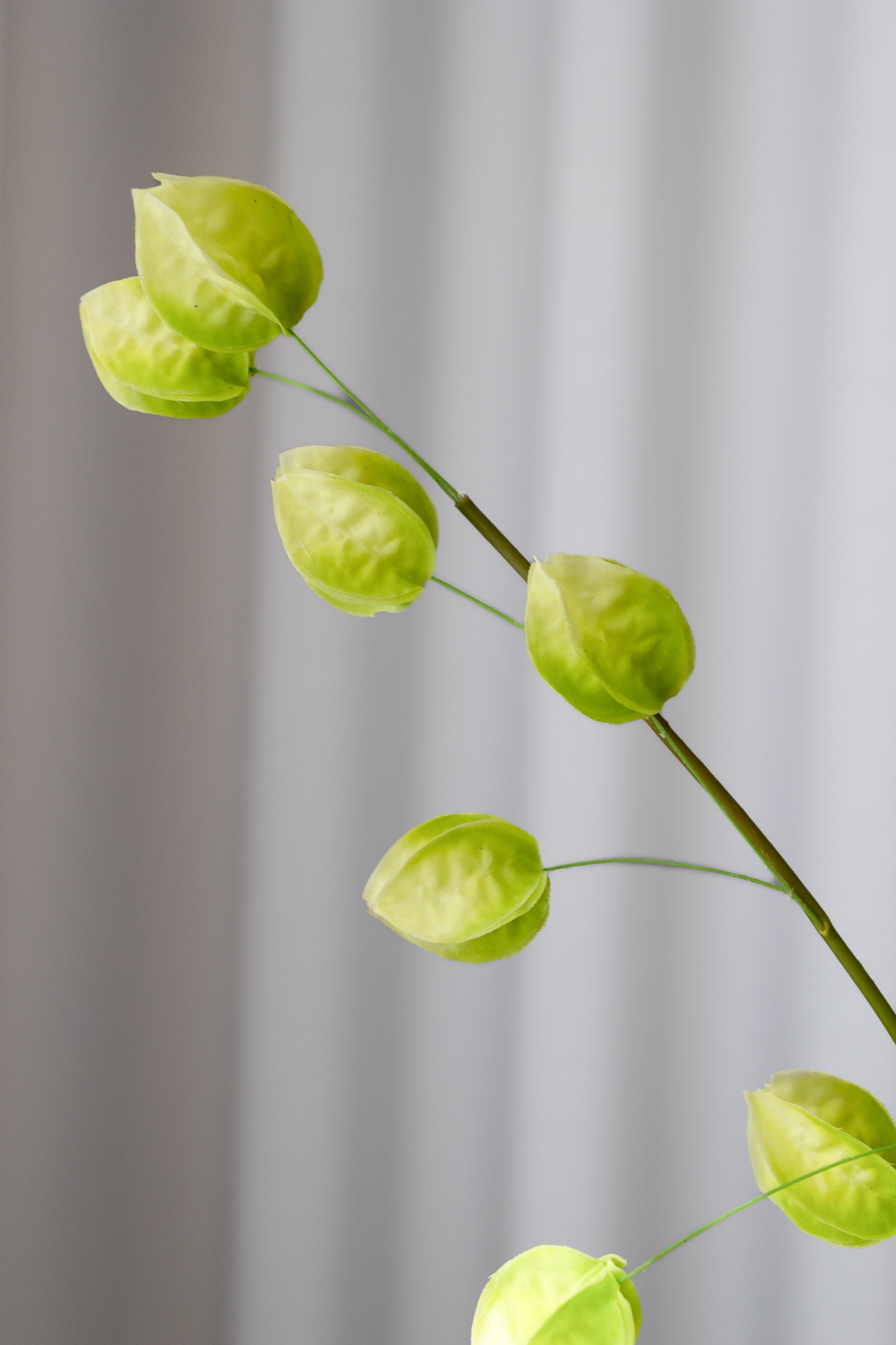 Artificial Physalis