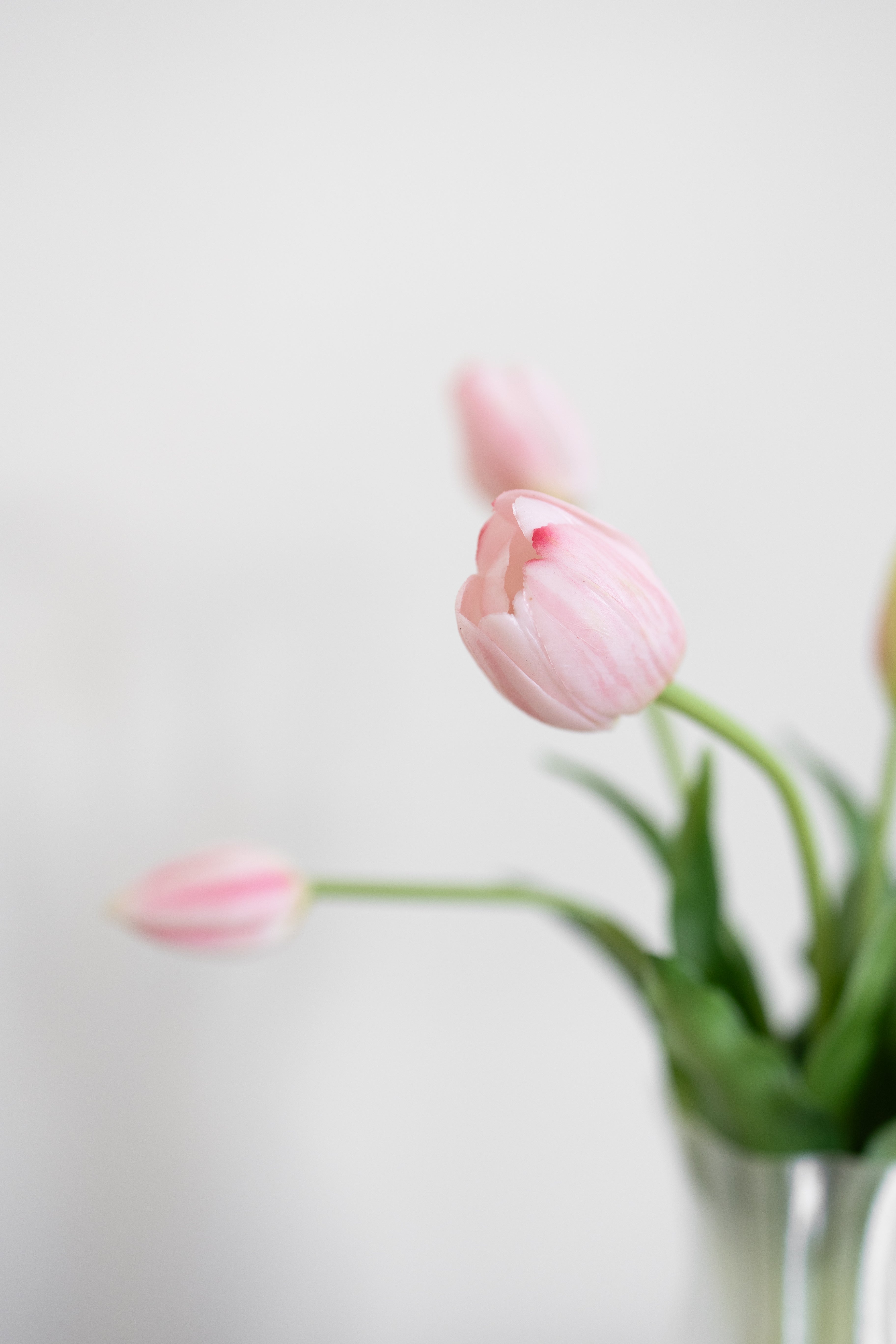 Kunstige Enkelbladede Tulipaner - Lyserød