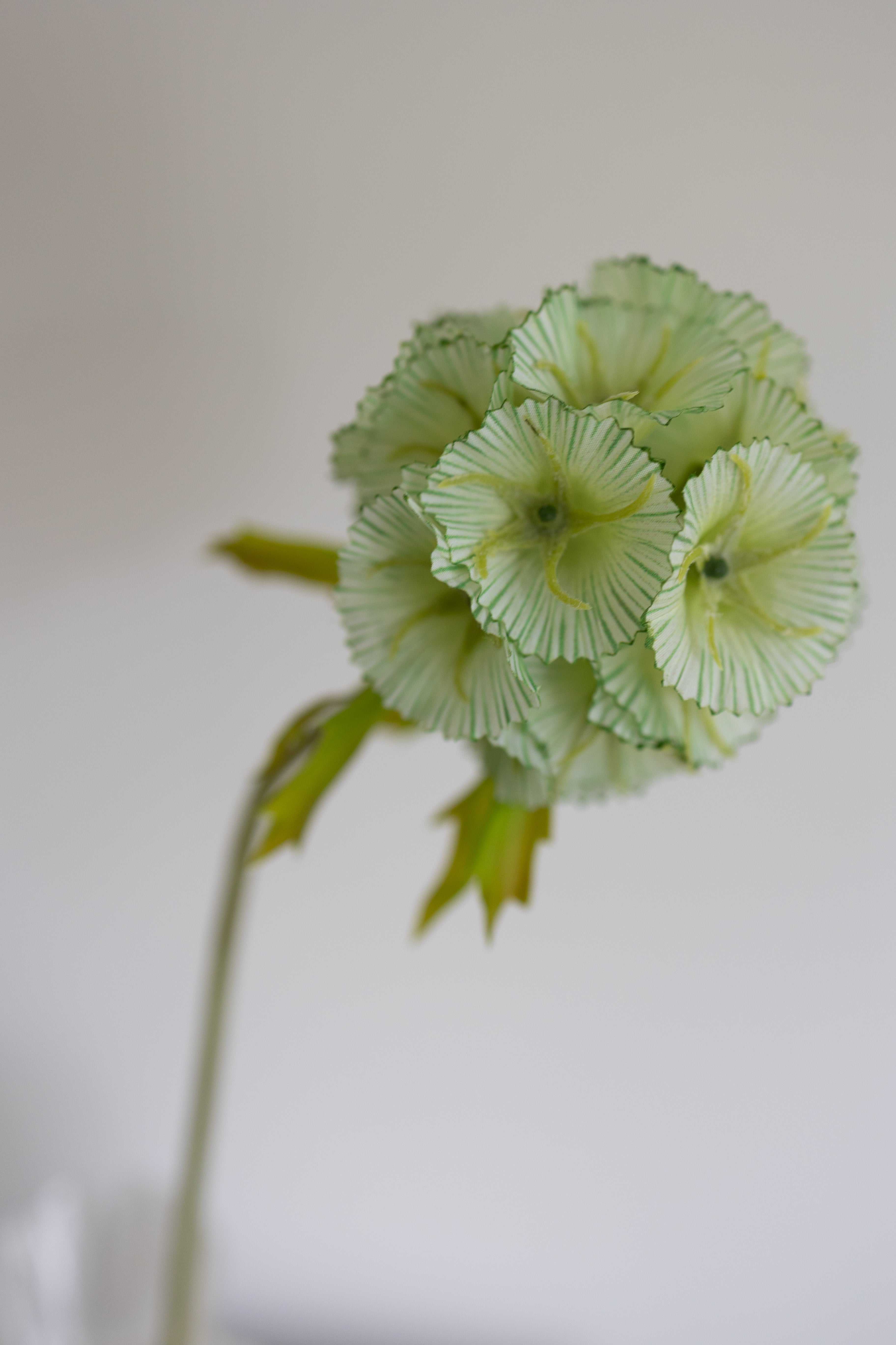 Artificial Scabiosa Flower - Green
