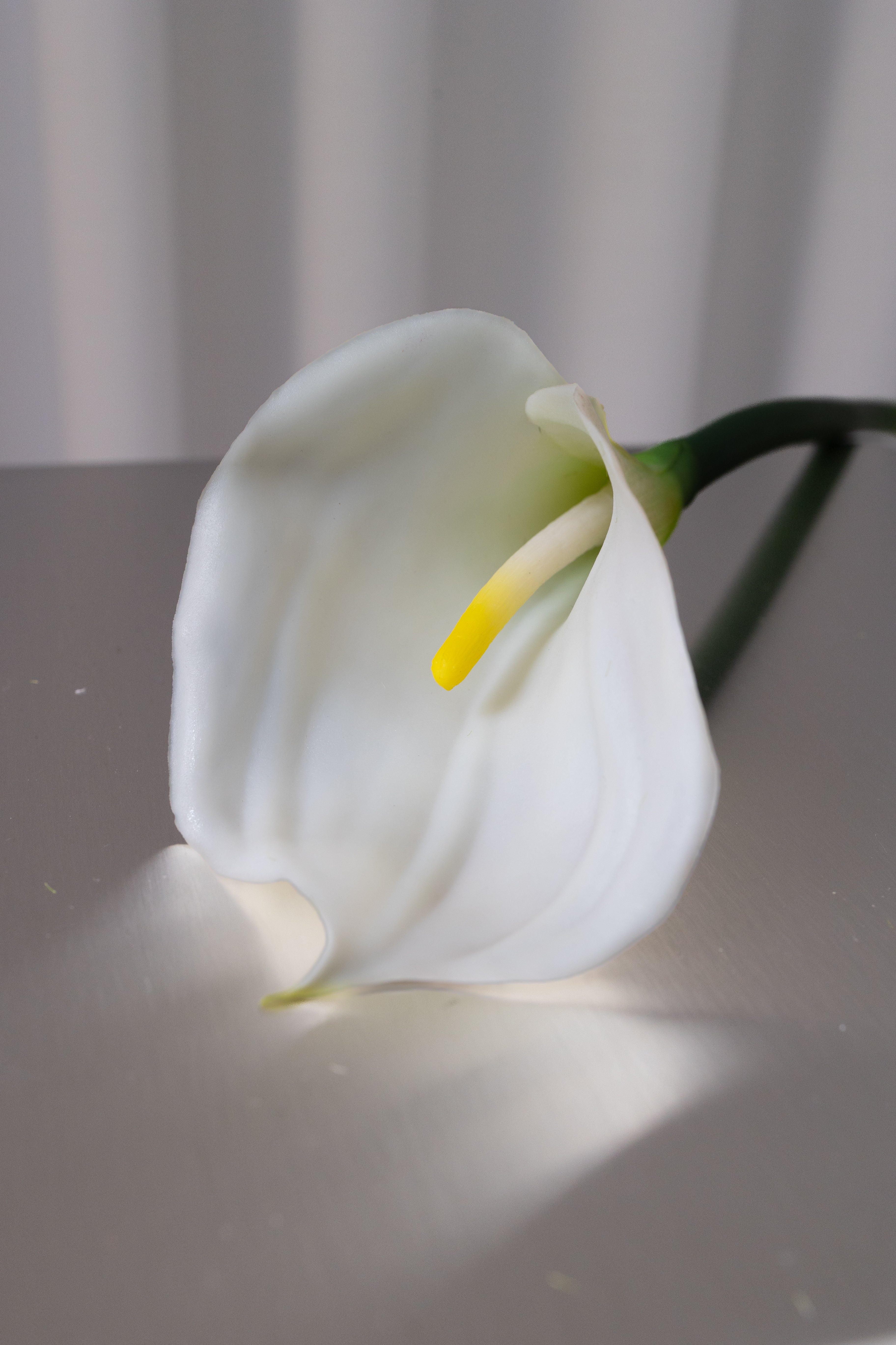 Artificial Calla Lily - White