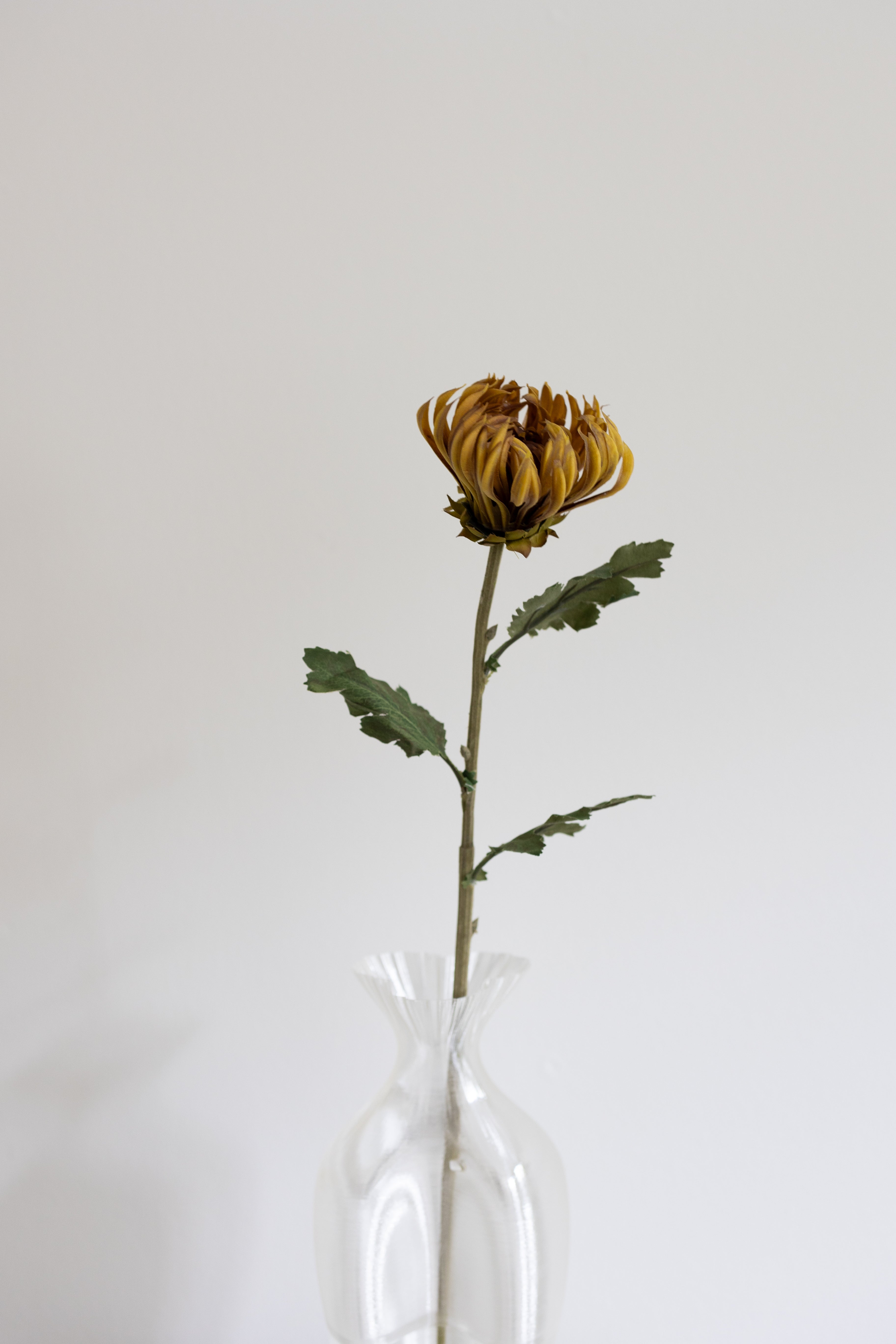 Kunstig Kaktus Dahlia Støvet