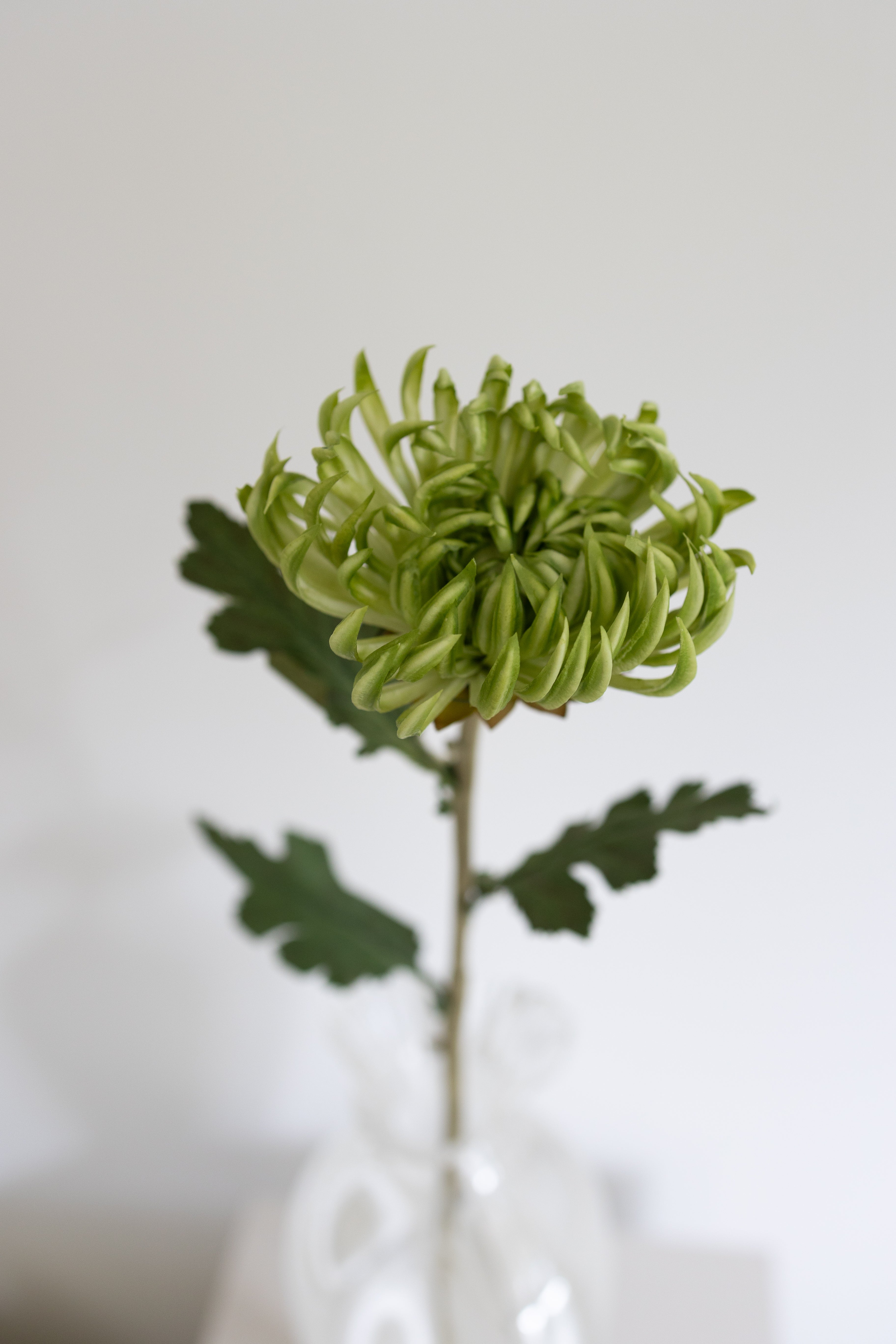 Kunstig Kaktus Dahlia Grøn